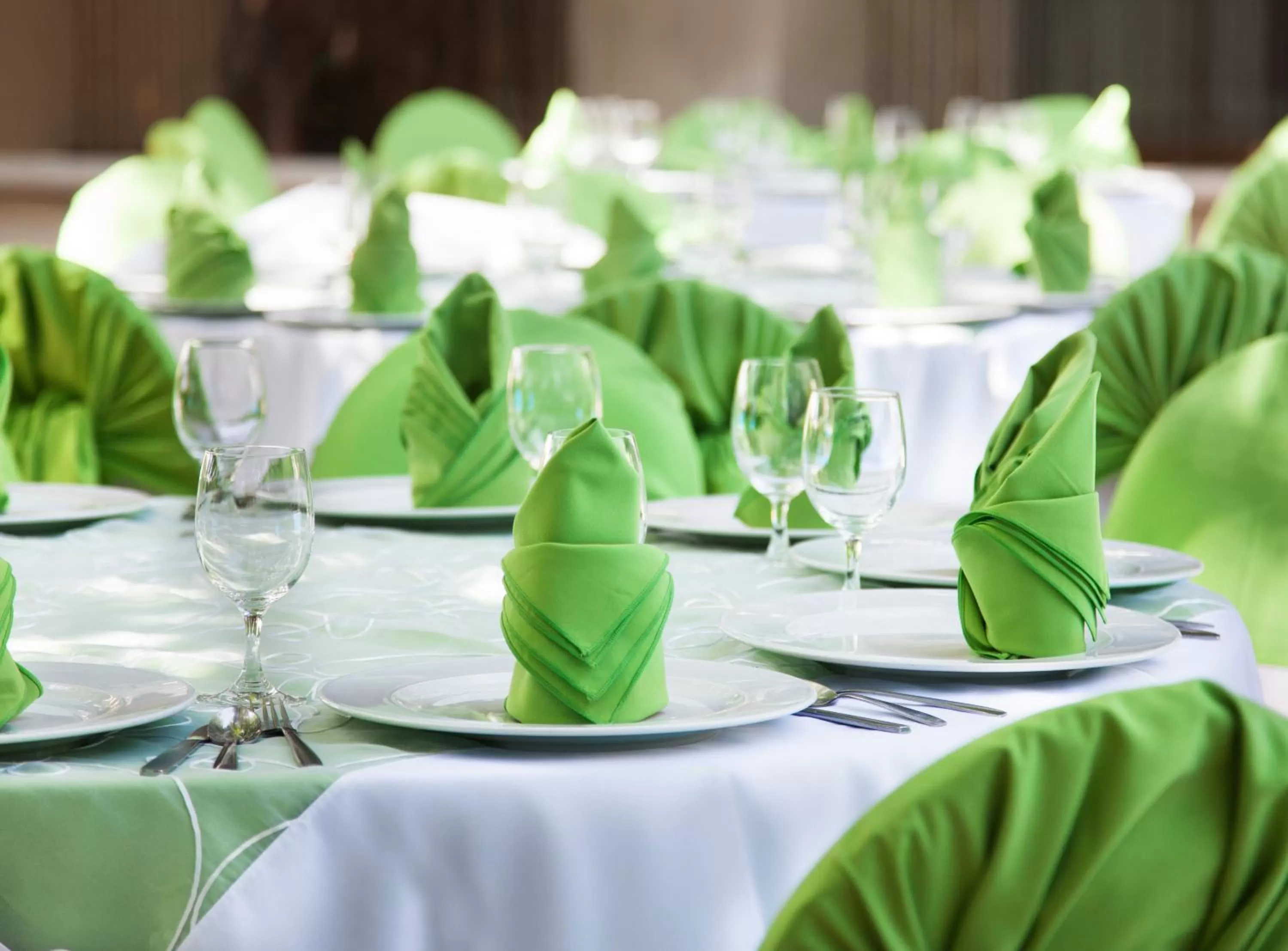 Banquet/Function facilities in Hotel Viva Villahermosa