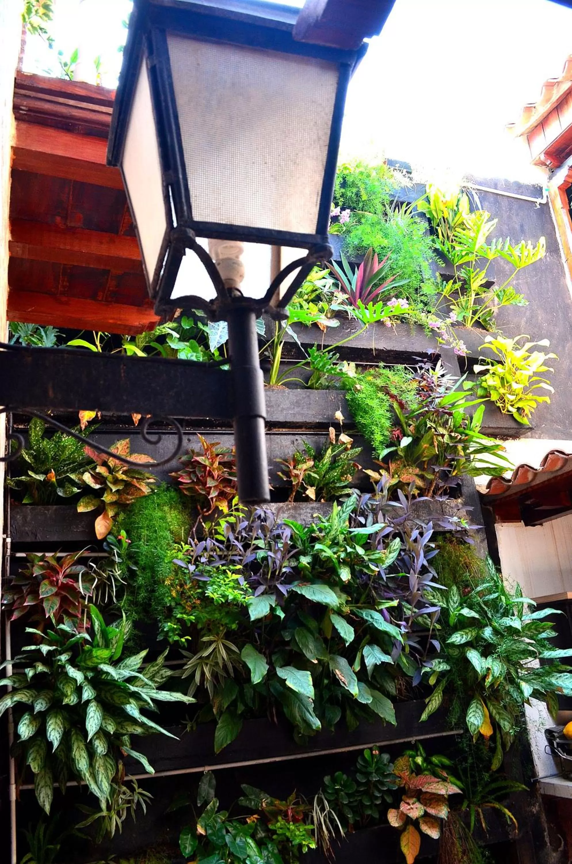 Day in Hotel Galeria la Trinidad