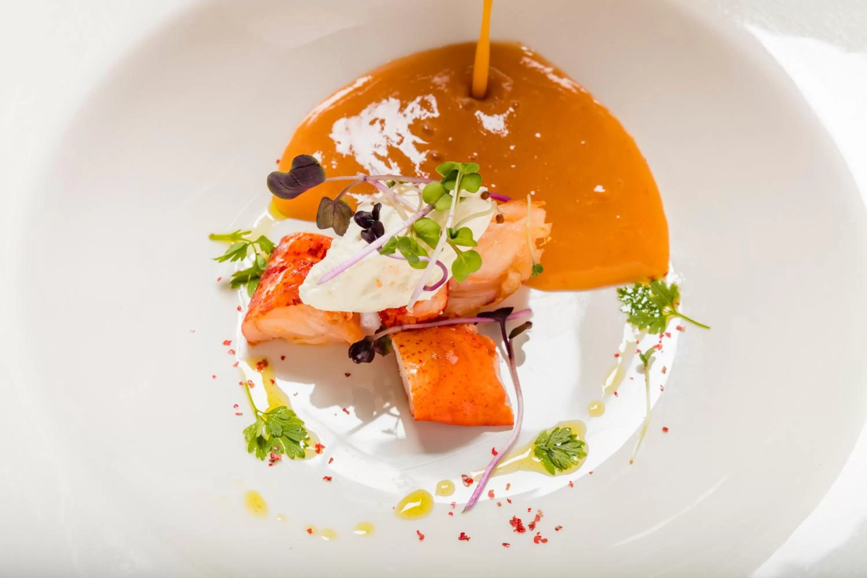 Food close-up in Margaritaville Hollywood Beach Resort