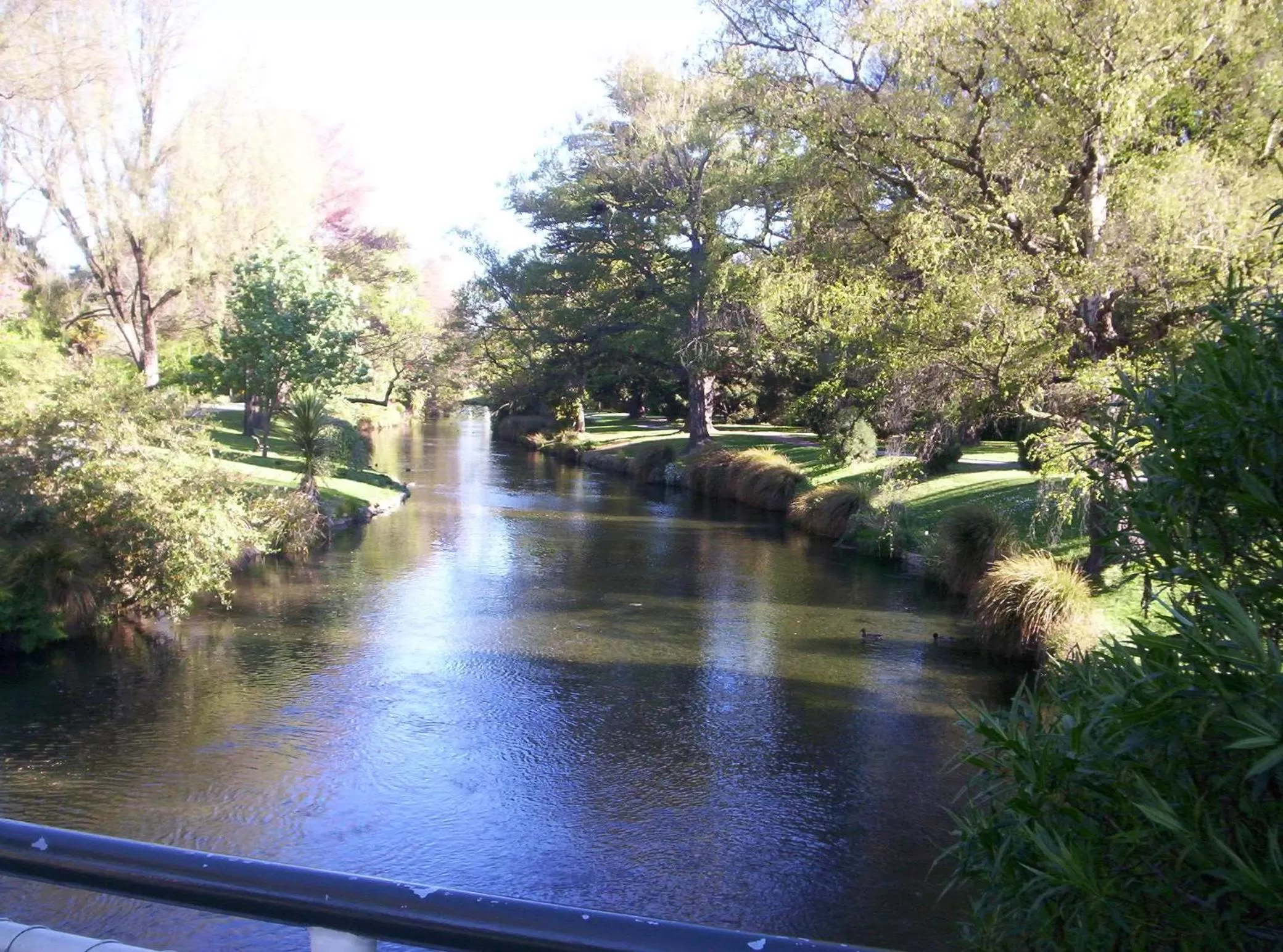 Day in Argyle On The Park - Central Christchurch Motel Overlooking Hagley Park