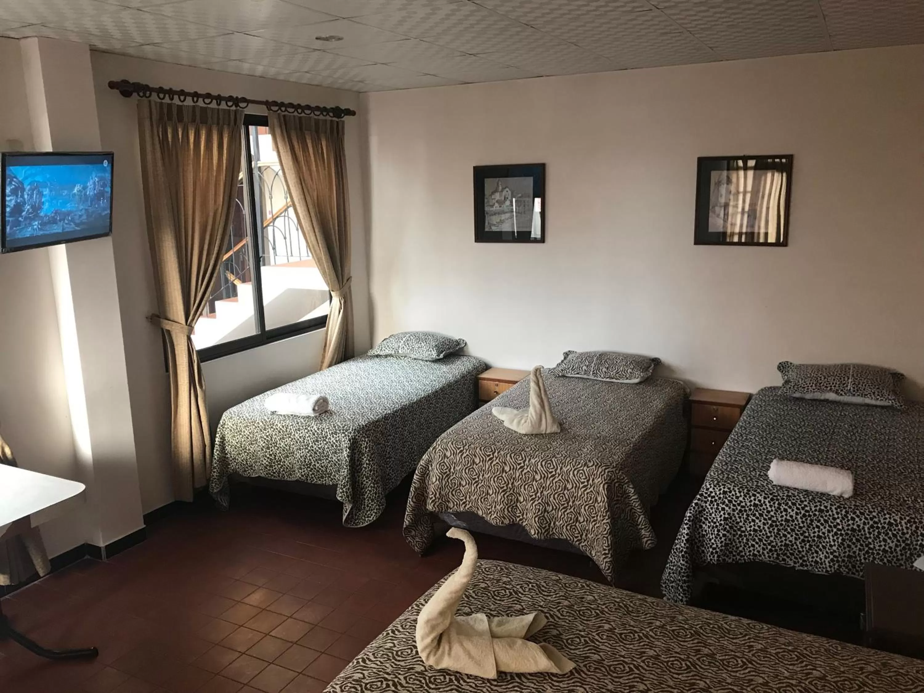 Bed in Cittadella Hostal