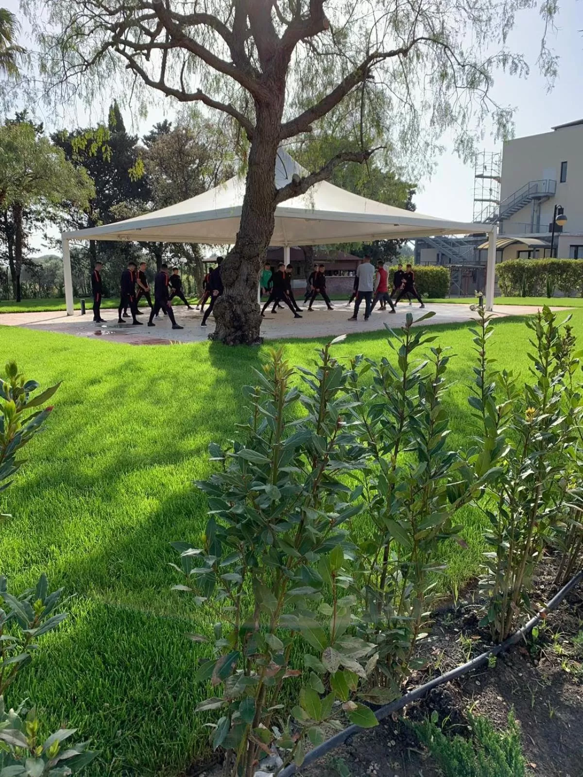 Garden in Hotel Holiday