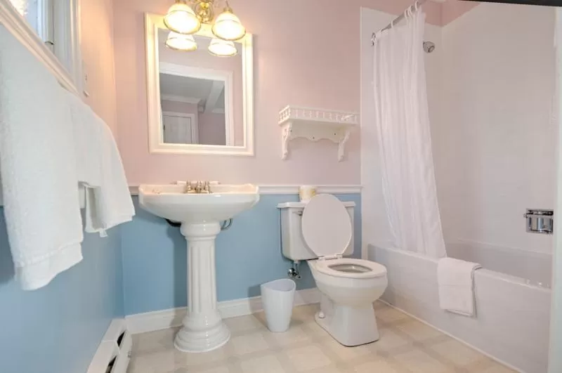 Toilet in Telegraph House Motel