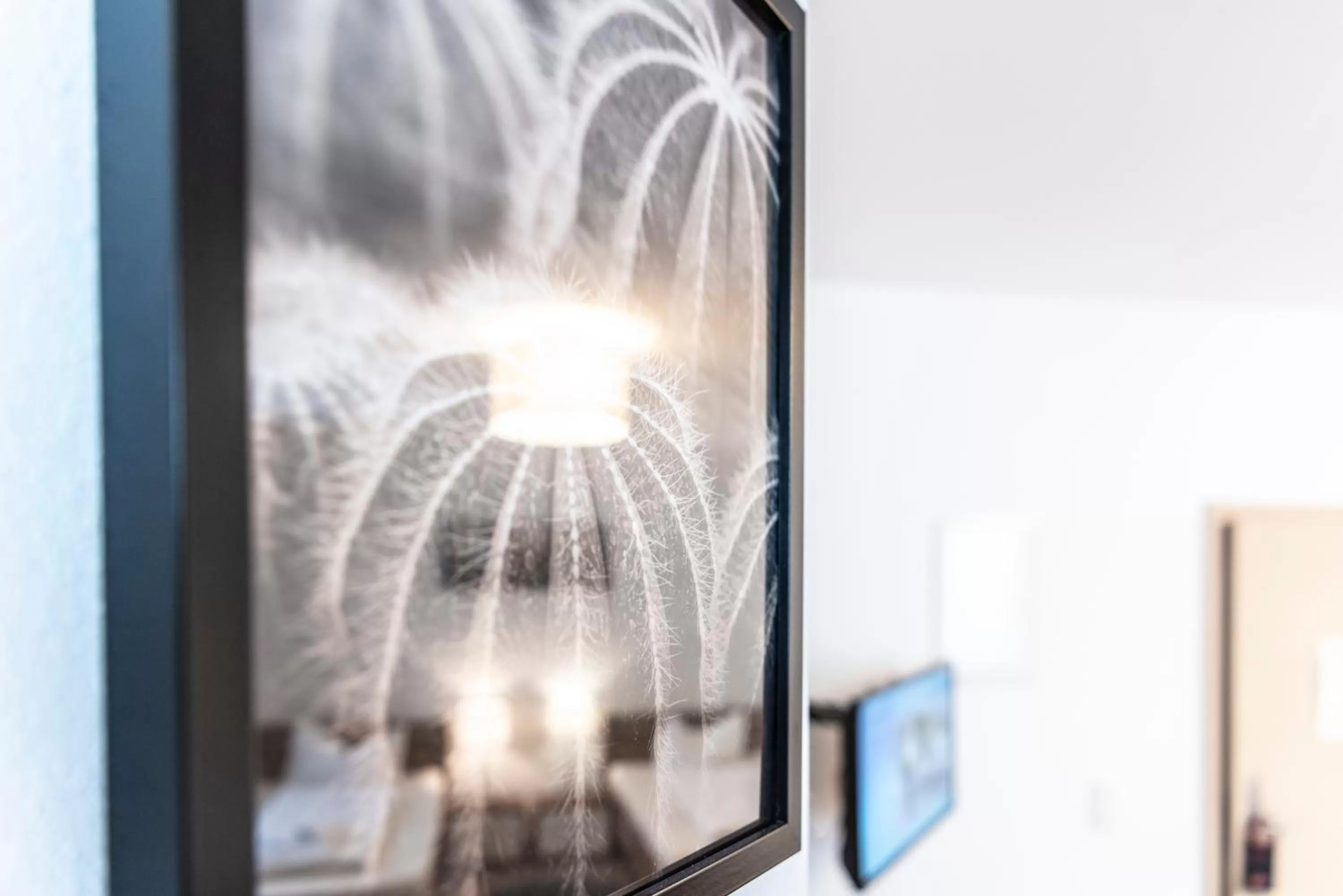 Decorative detail in greenpartment Boardinghouse Neustadt