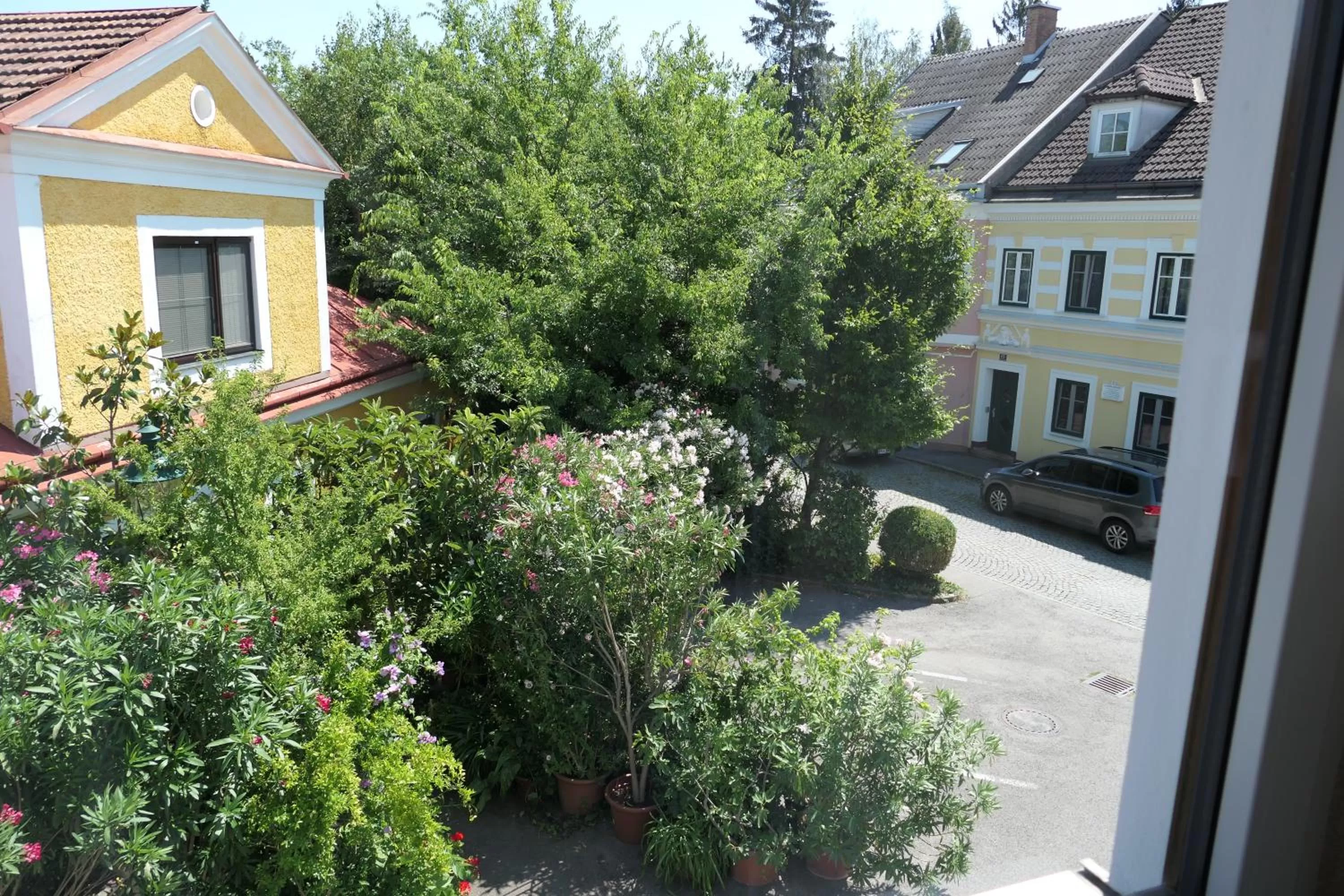 View (from property/room) in Hotel MEDITERRANEO