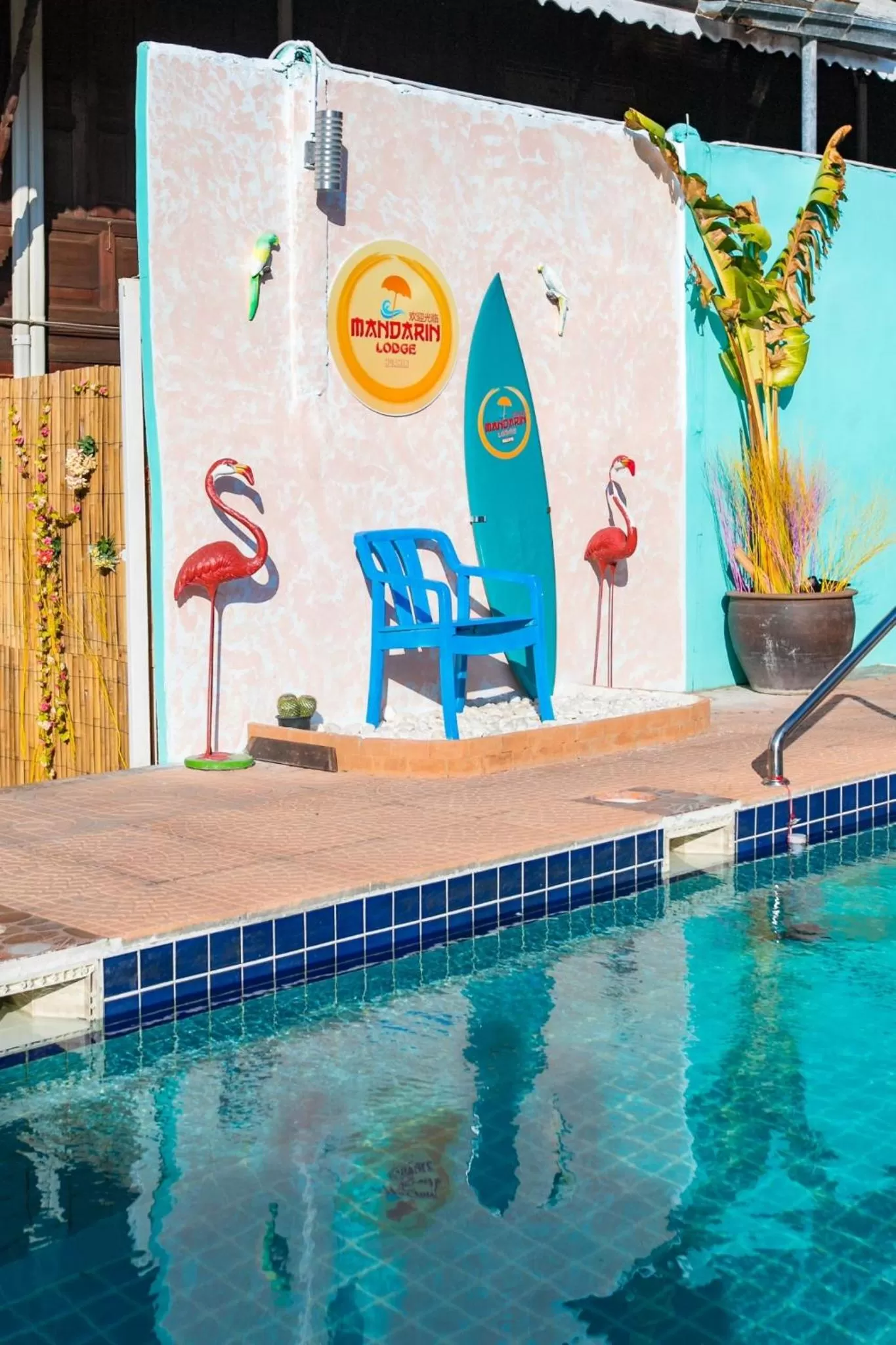 Swimming pool in MANDARIN LODGE by victor