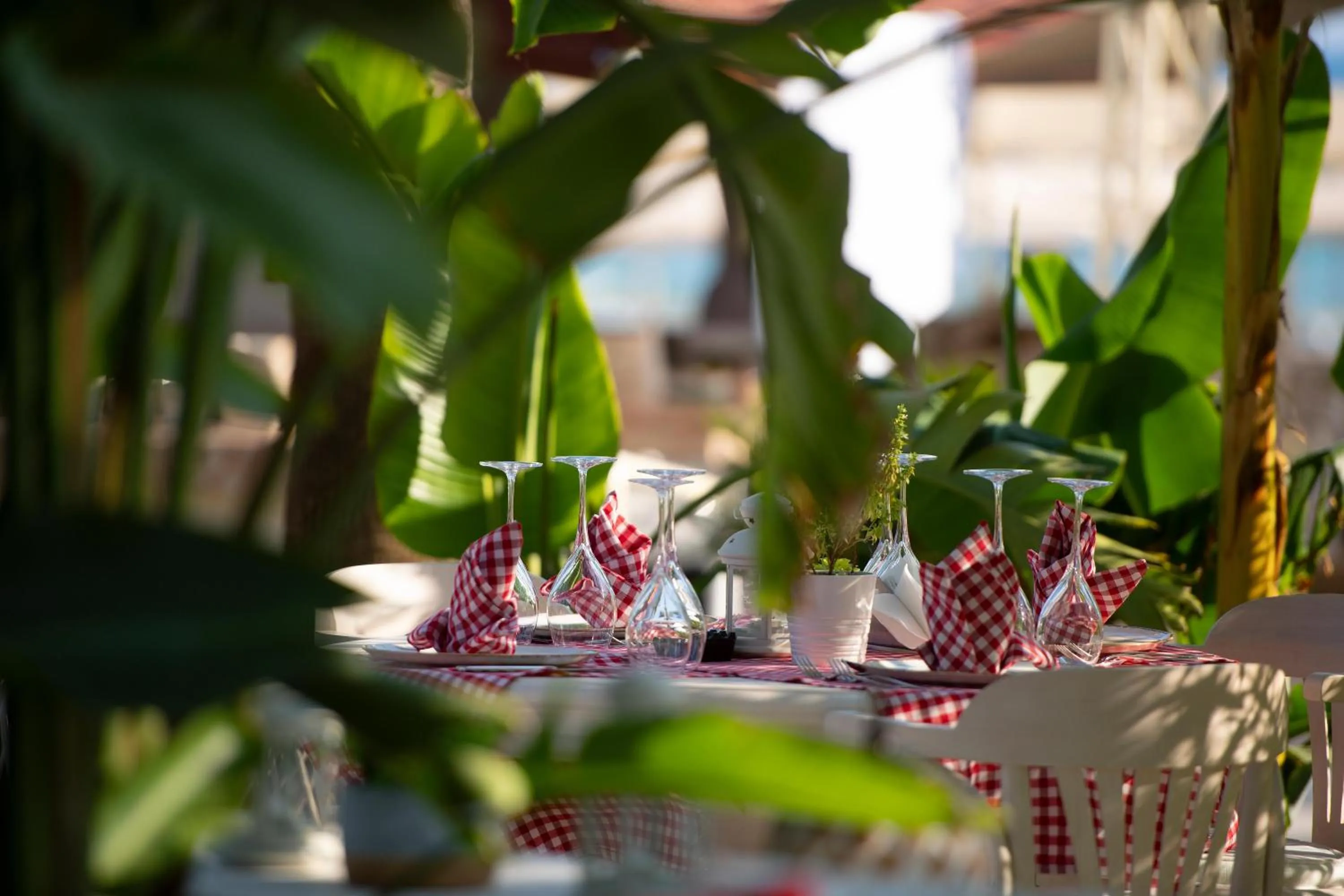 Restaurant/places to eat in Miramare Beach Hotel - Ultra All Inclusive