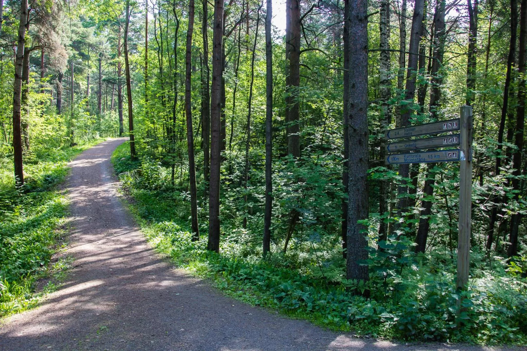 Natural landscape in Hotel Linnasmäki