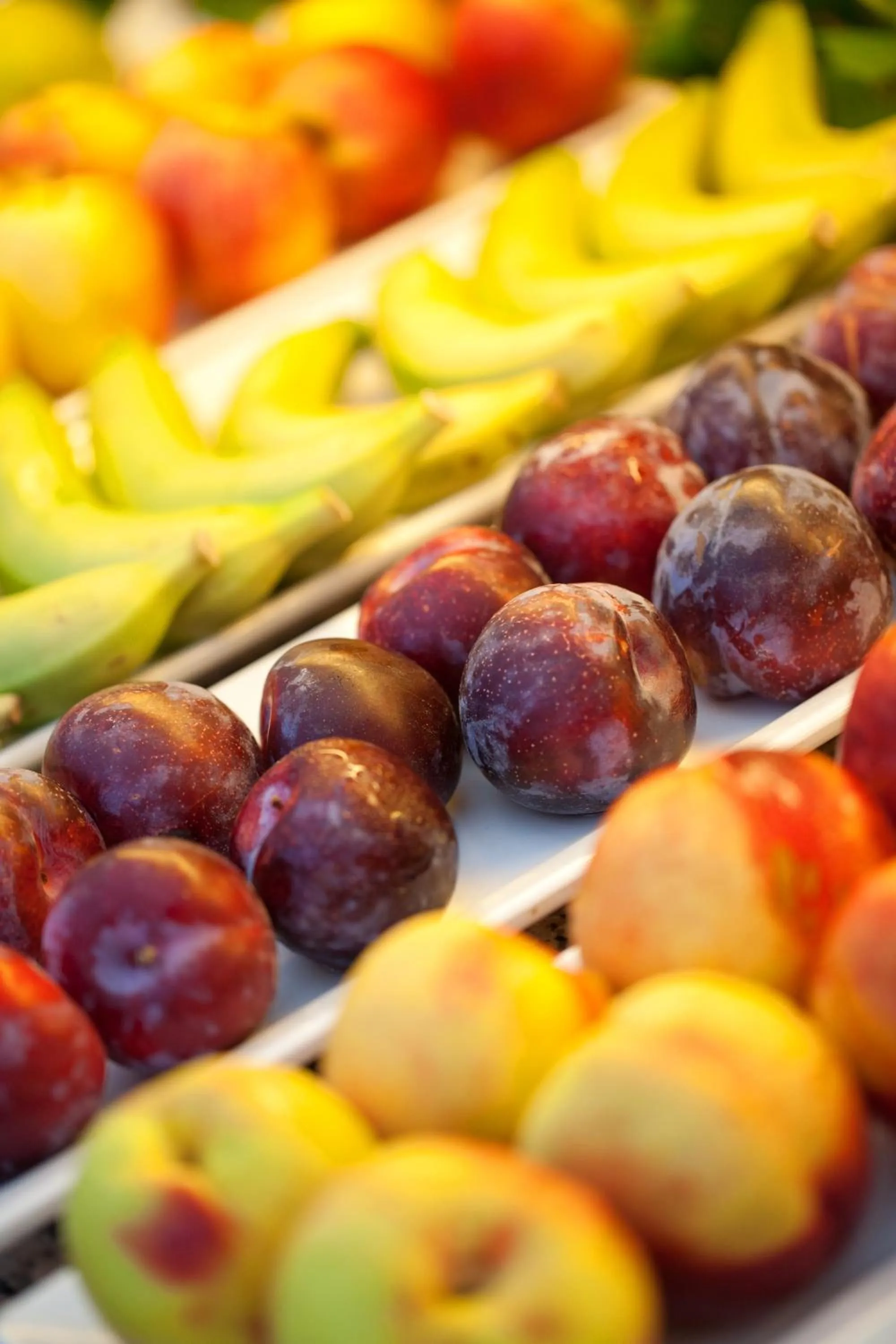 Food and drinks in JS Miramar