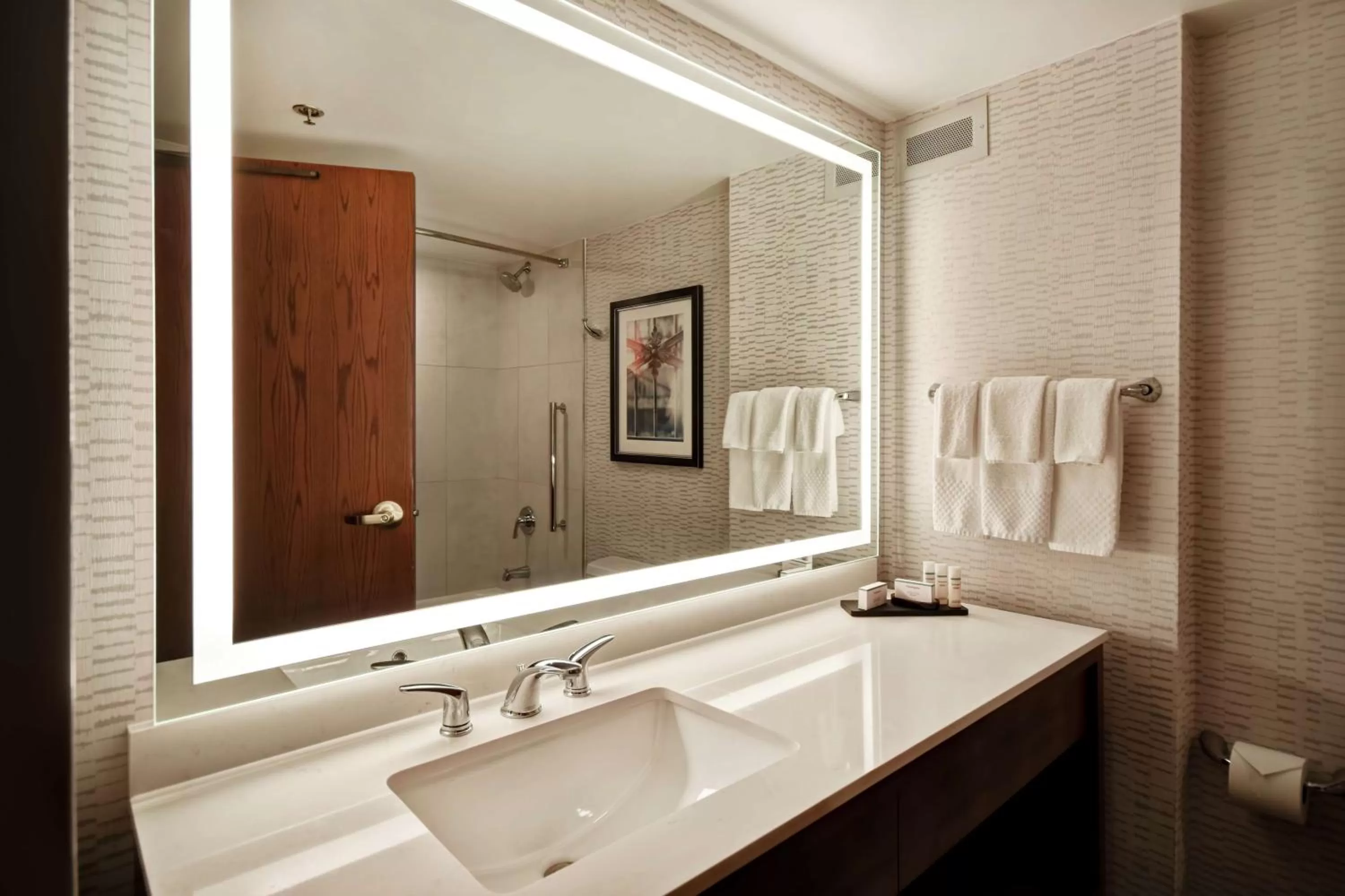 Bathroom in Embassy Suites by Hilton Omaha Downtown Old Market