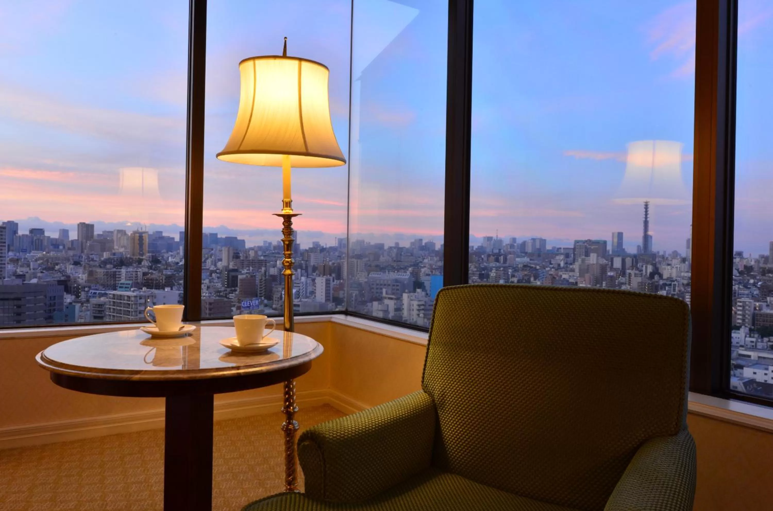 City view in Hotel Chinzanso Tokyo