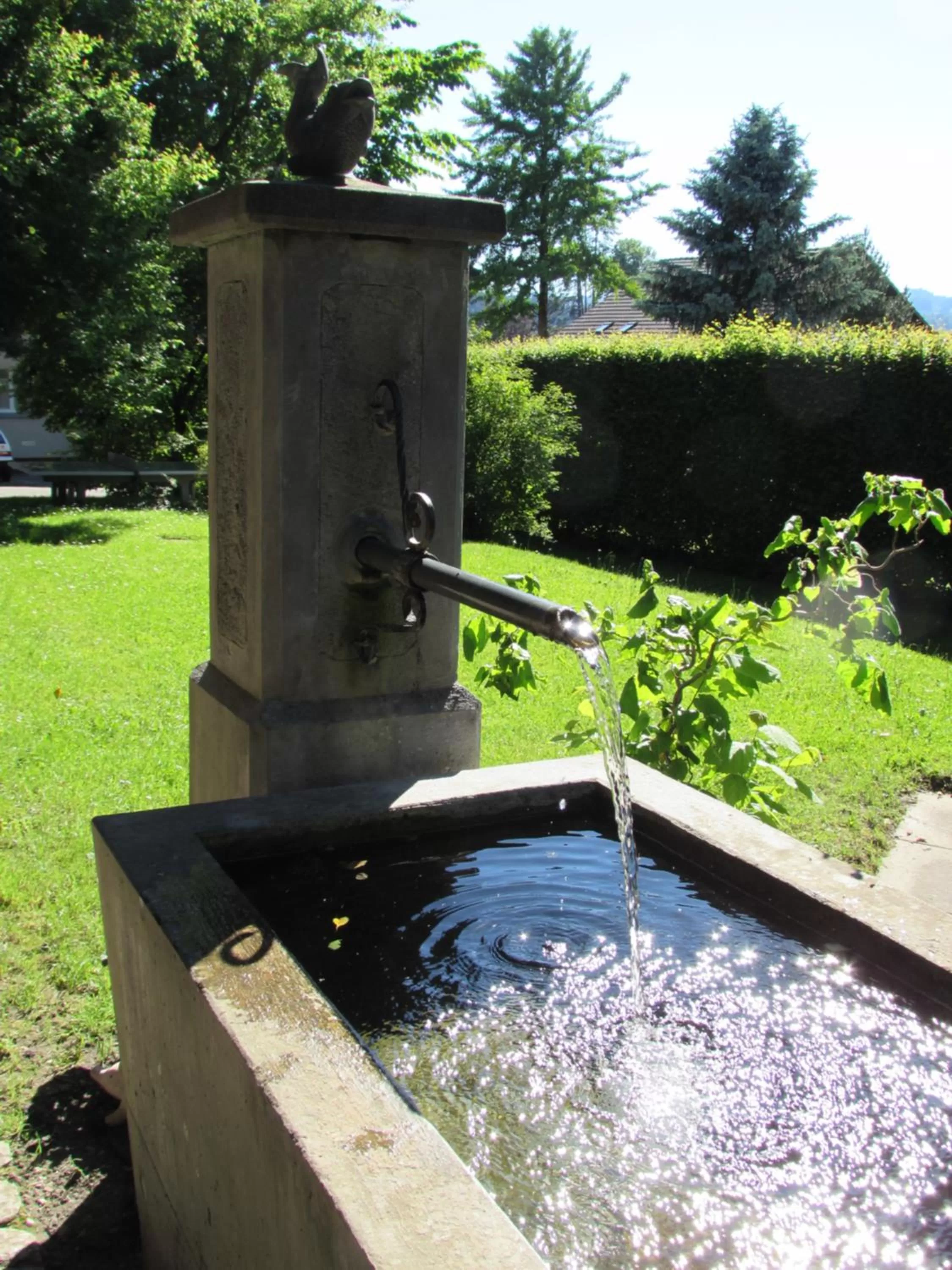 Garden, Swimming Pool in Emme Lodge