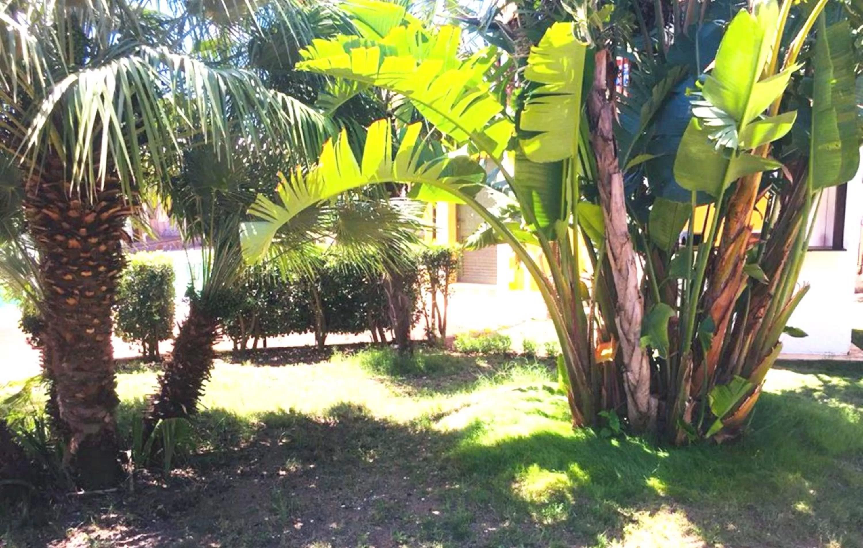 Natural landscape in Hotel Palladium