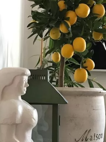 Communal lounge/ TV room in Hotell Bäckagården