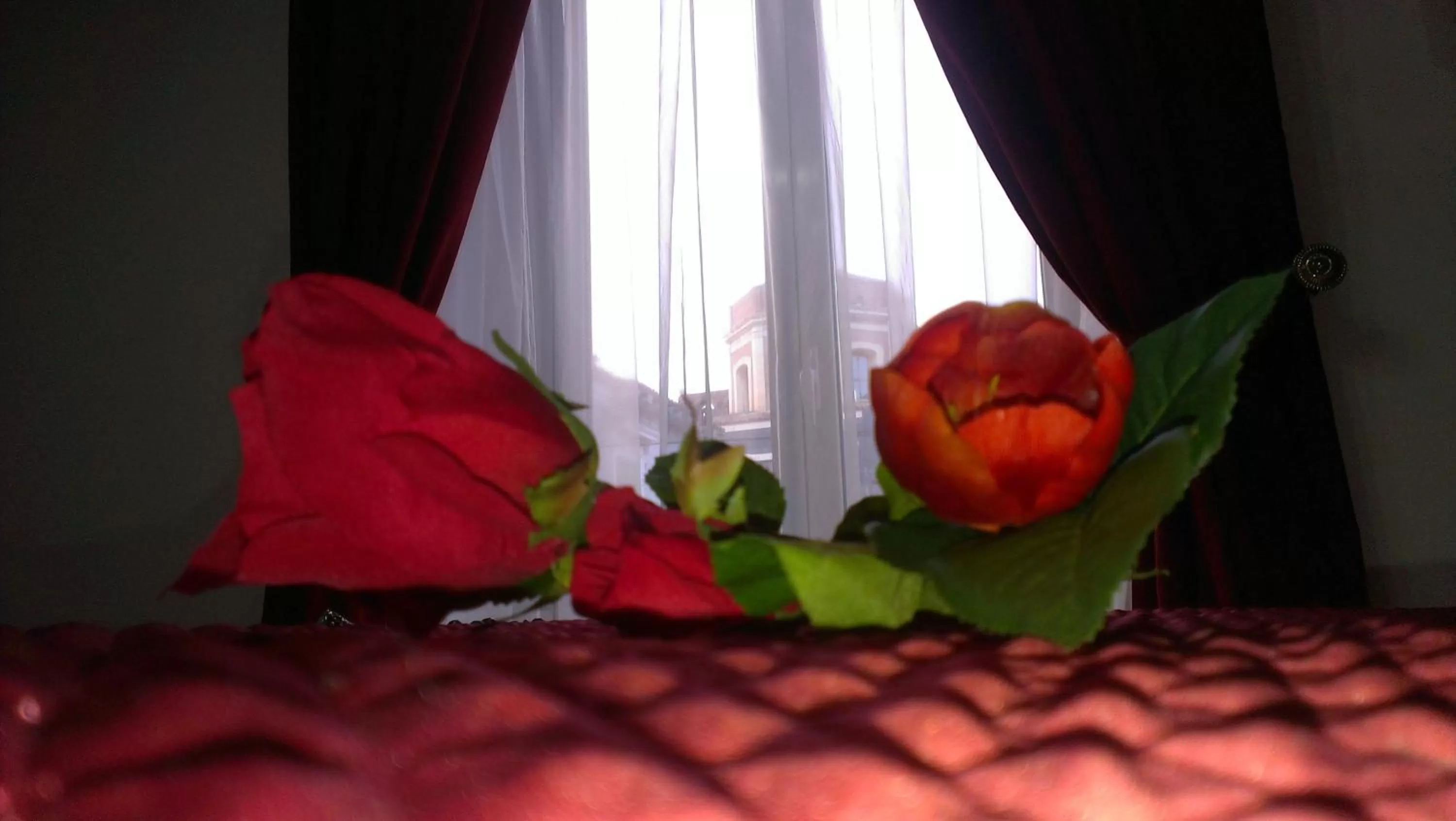 Balcony/Terrace in Duca di Uzeda Bed and Breakfast