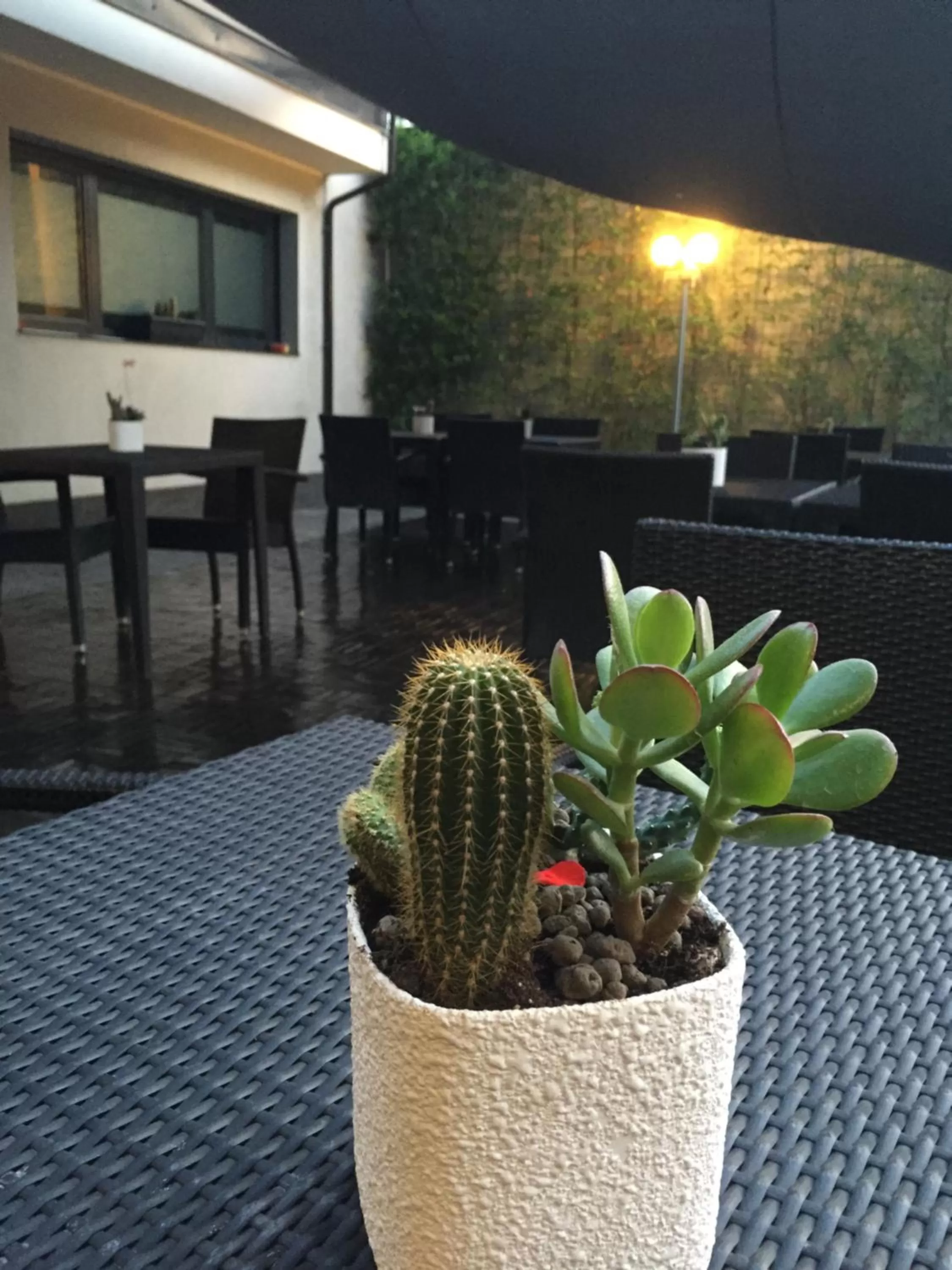 Coffee/tea facilities in Acca Palace AA Hotels