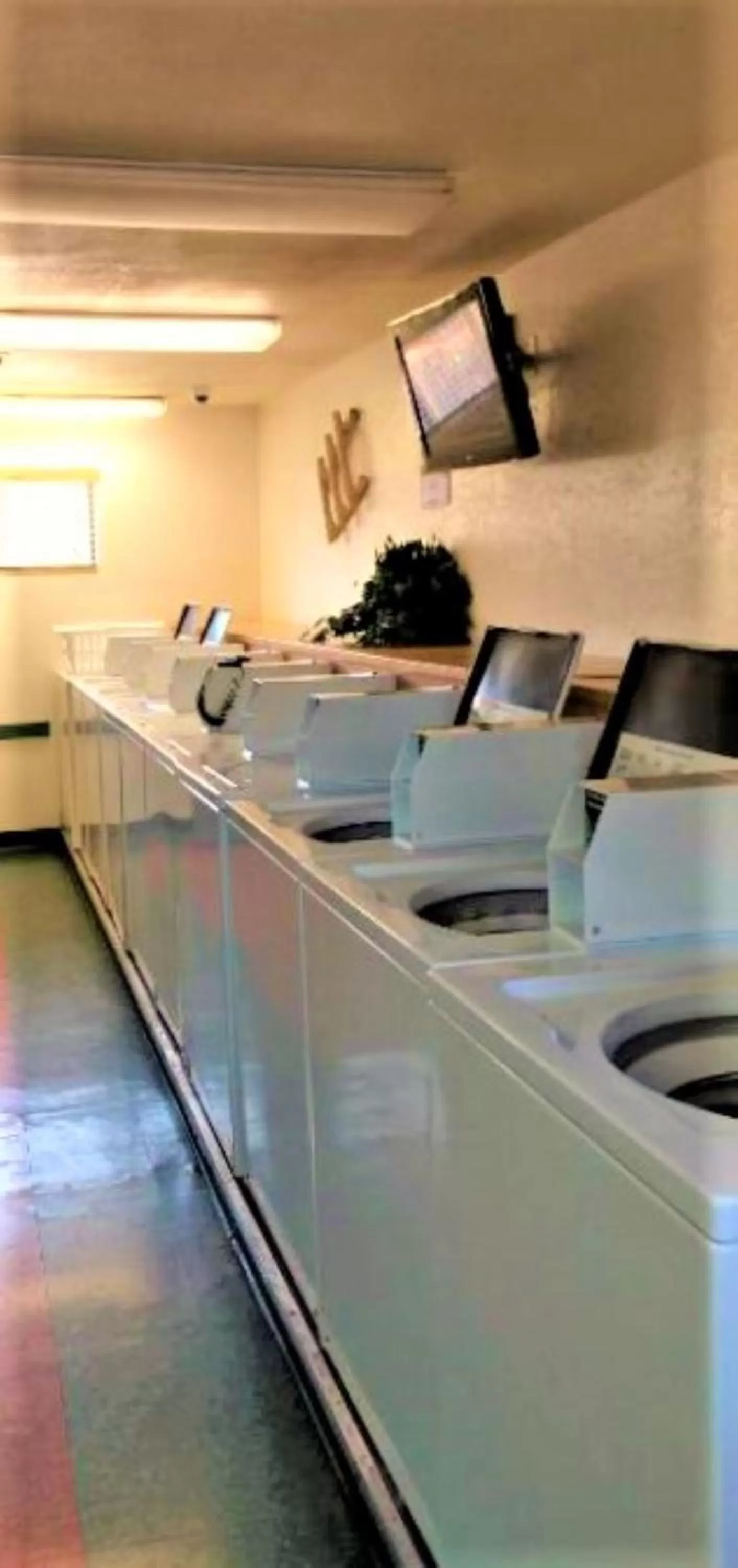 Area and facilities in Sedona Pines Resort