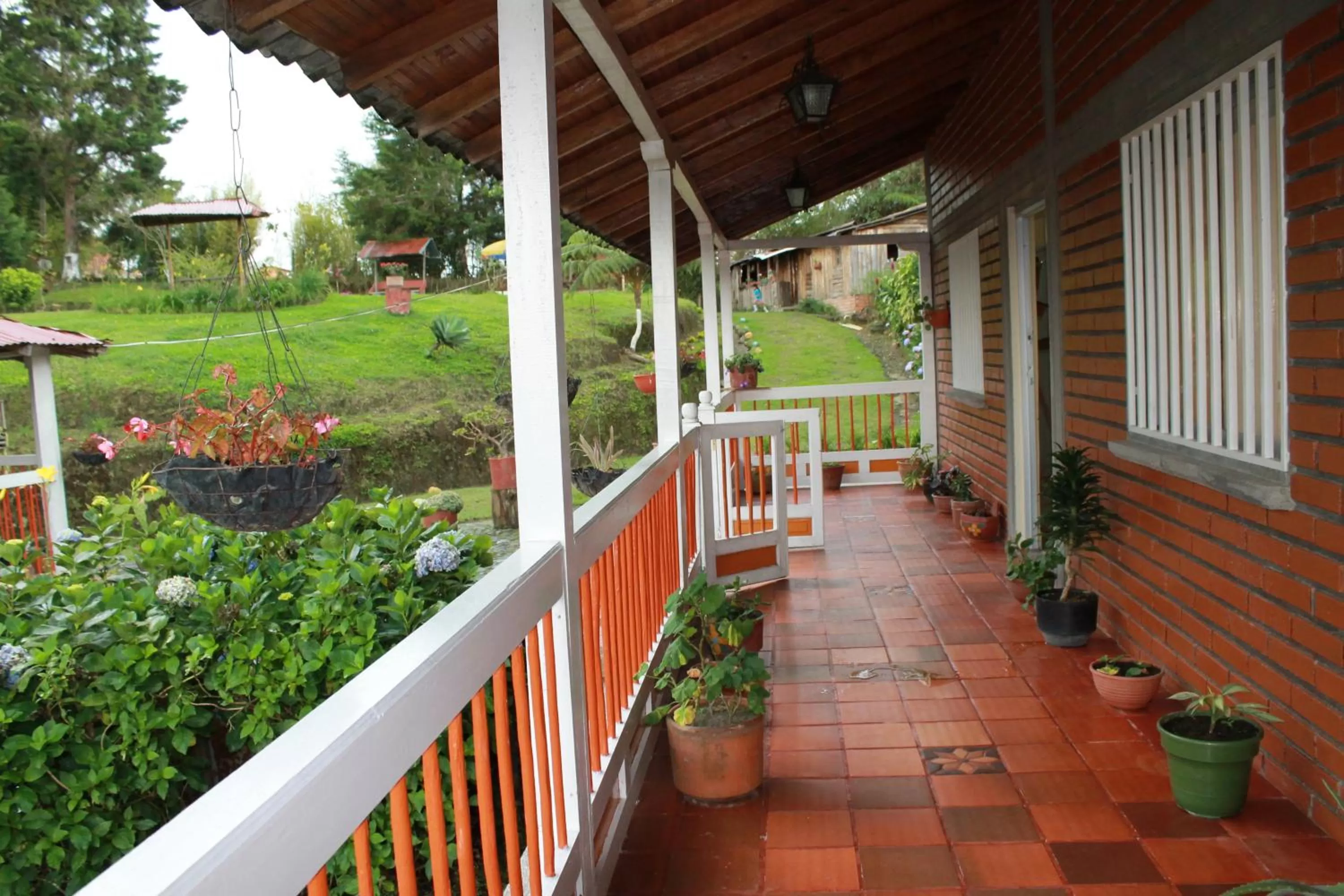 Balcony/Terrace in La Gaviota BnB