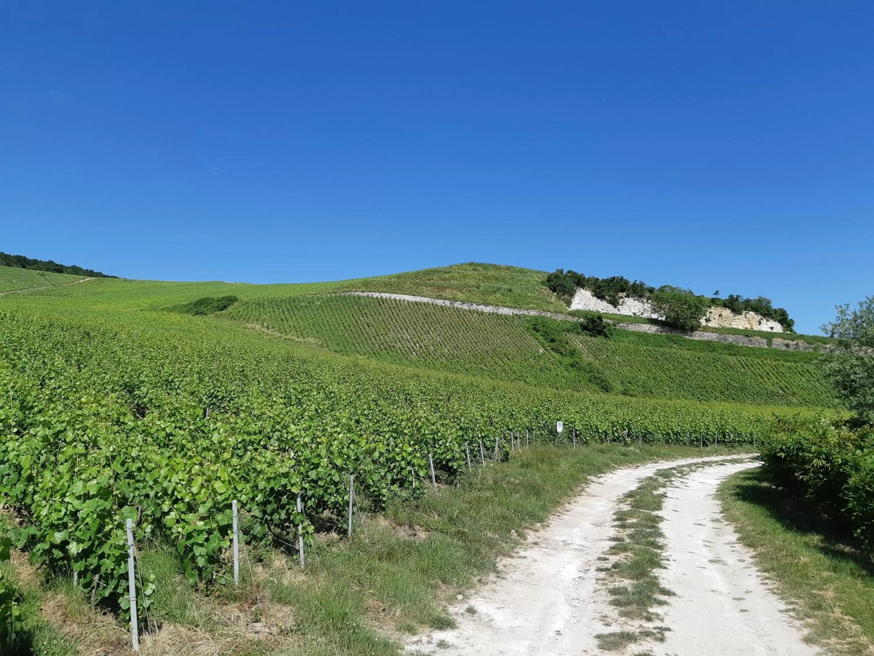 Natural Landscape in La Cour des Marotiers