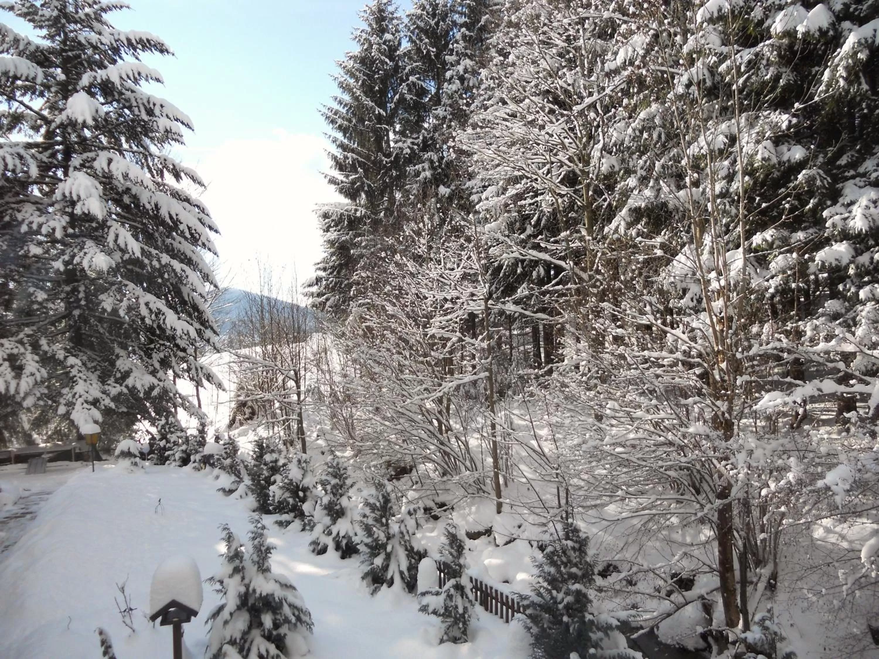 Winter in Hotel Sonnleitn