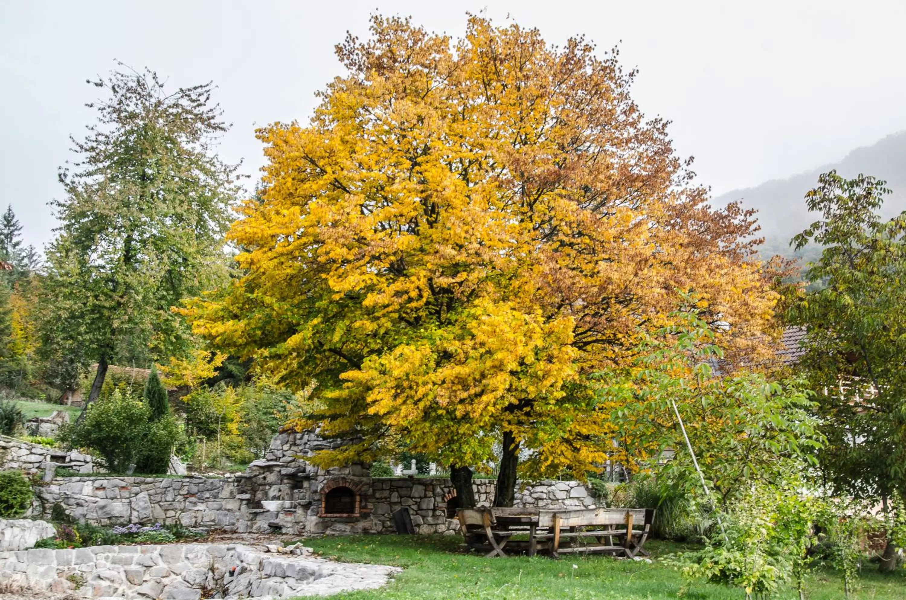 Area and facilities in Miškar Rooms