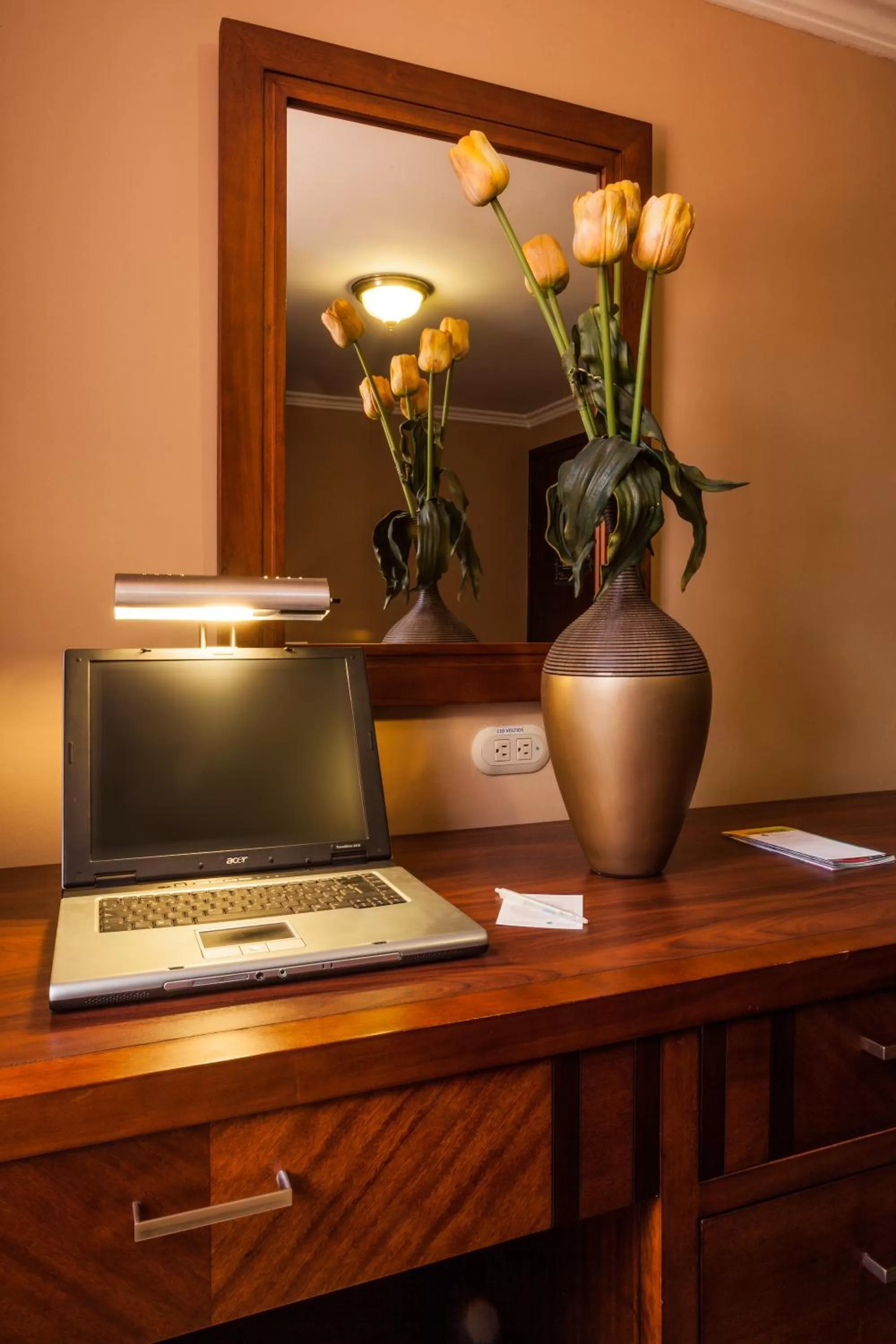 TV and multimedia in Fenix Hotel