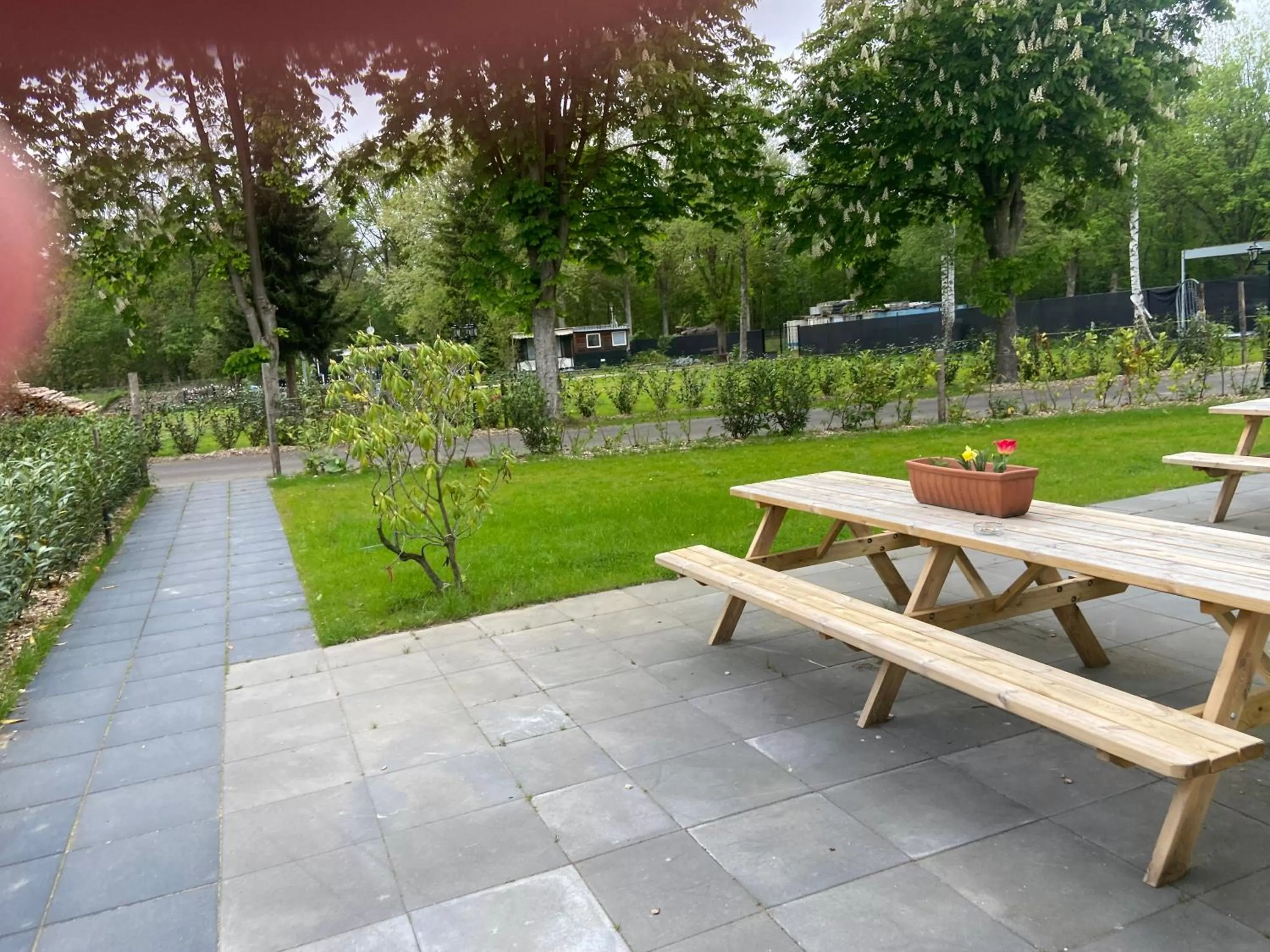 Seven-Bedroom House in Landgoed Leudal - In de natuur nabij Roermond