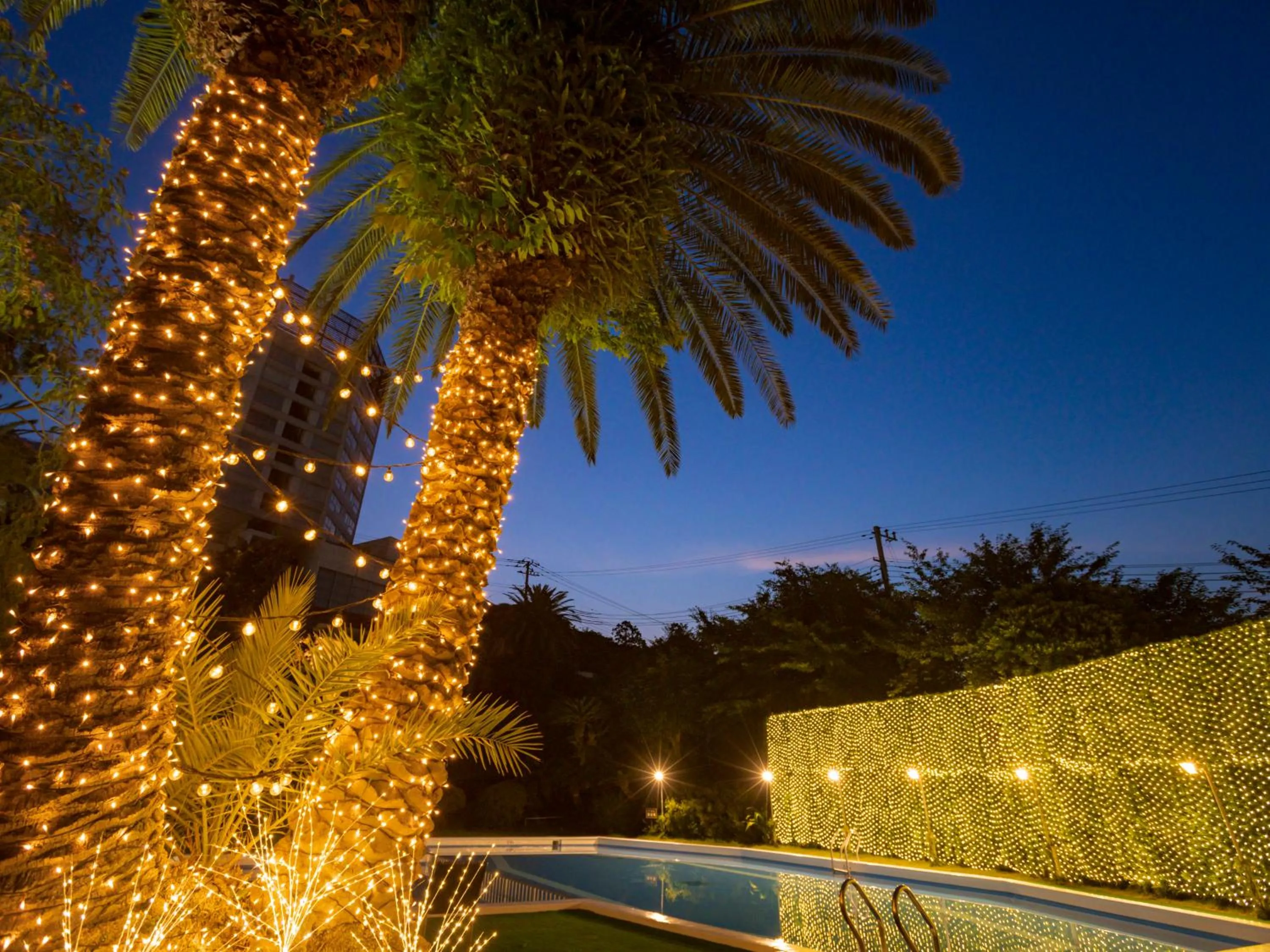 Garden in Ito Hotel Juraku