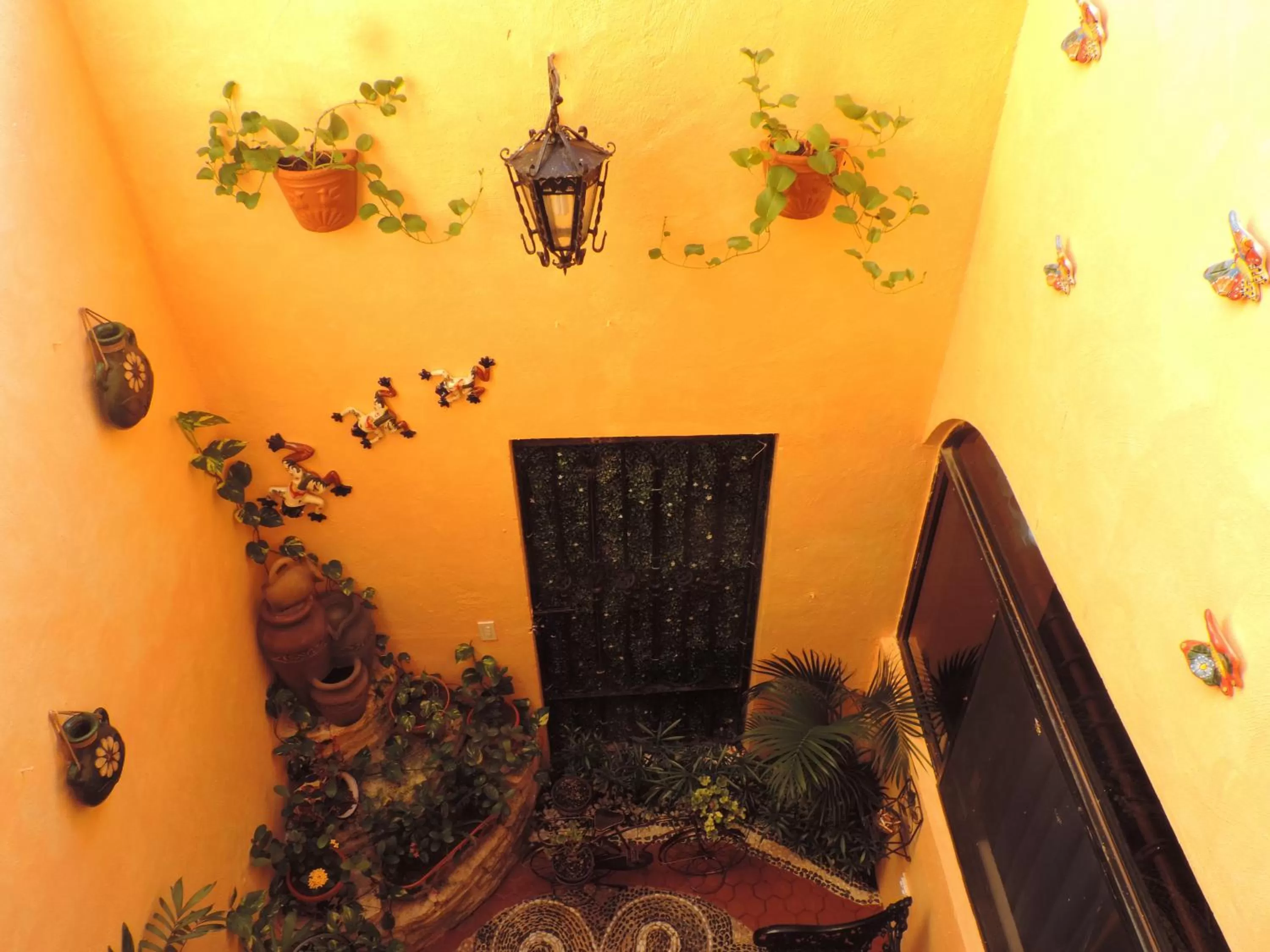 Garden in Hacienda Del Caribe Hotel