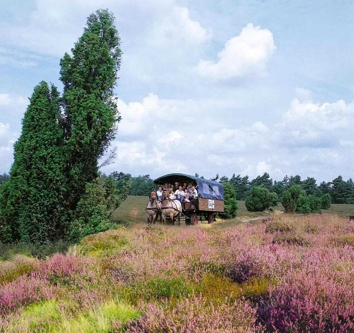 Area and facilities in Morada Hotel Heidesee Gifhorn