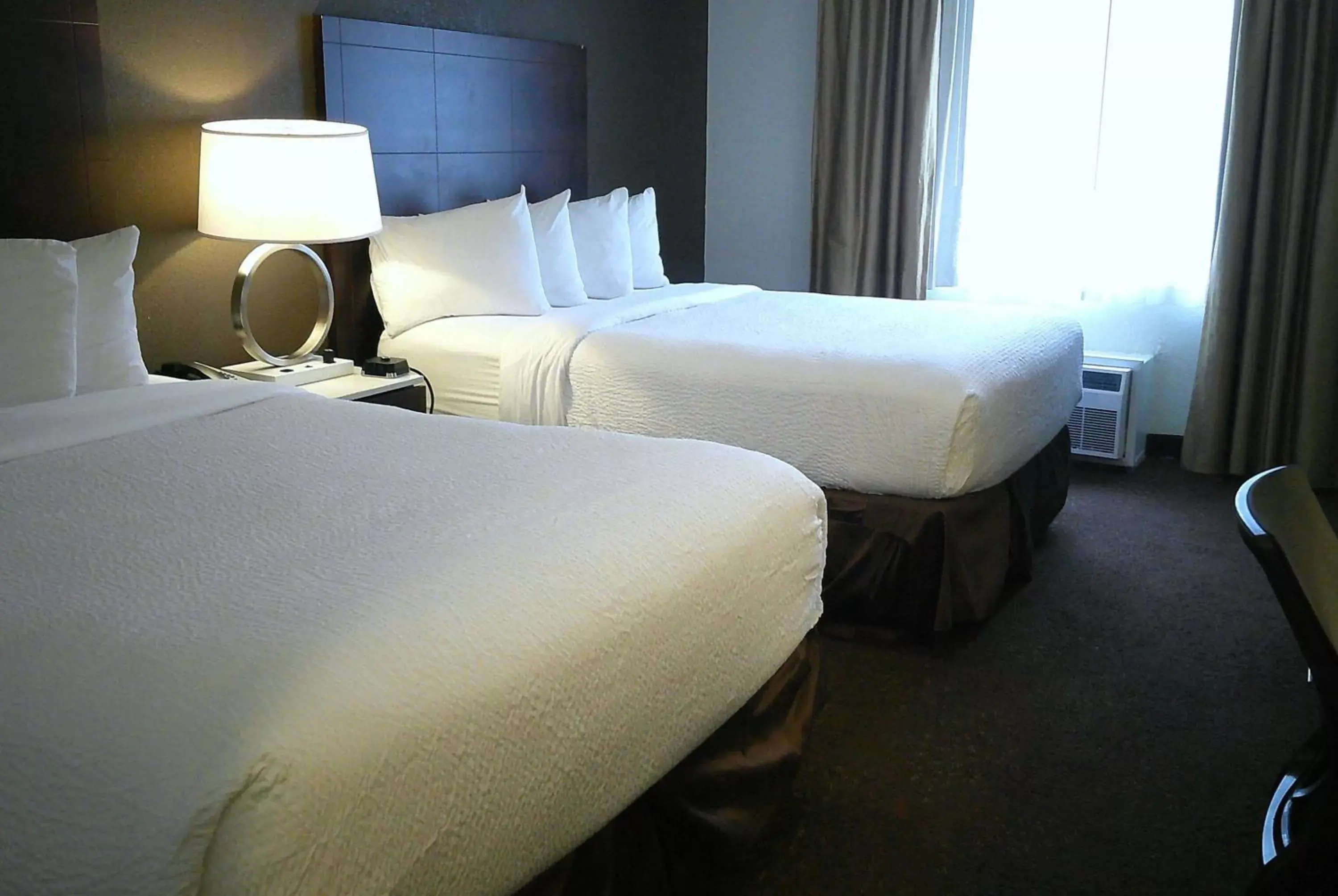 Queen Room with Two Queen Beds - Non-Smoking in Wyndham Garden Detroit Metro Airport Queen Room with Two Queen Beds - Non-Smoking in Wyndham Garden Detroit Metro Airport