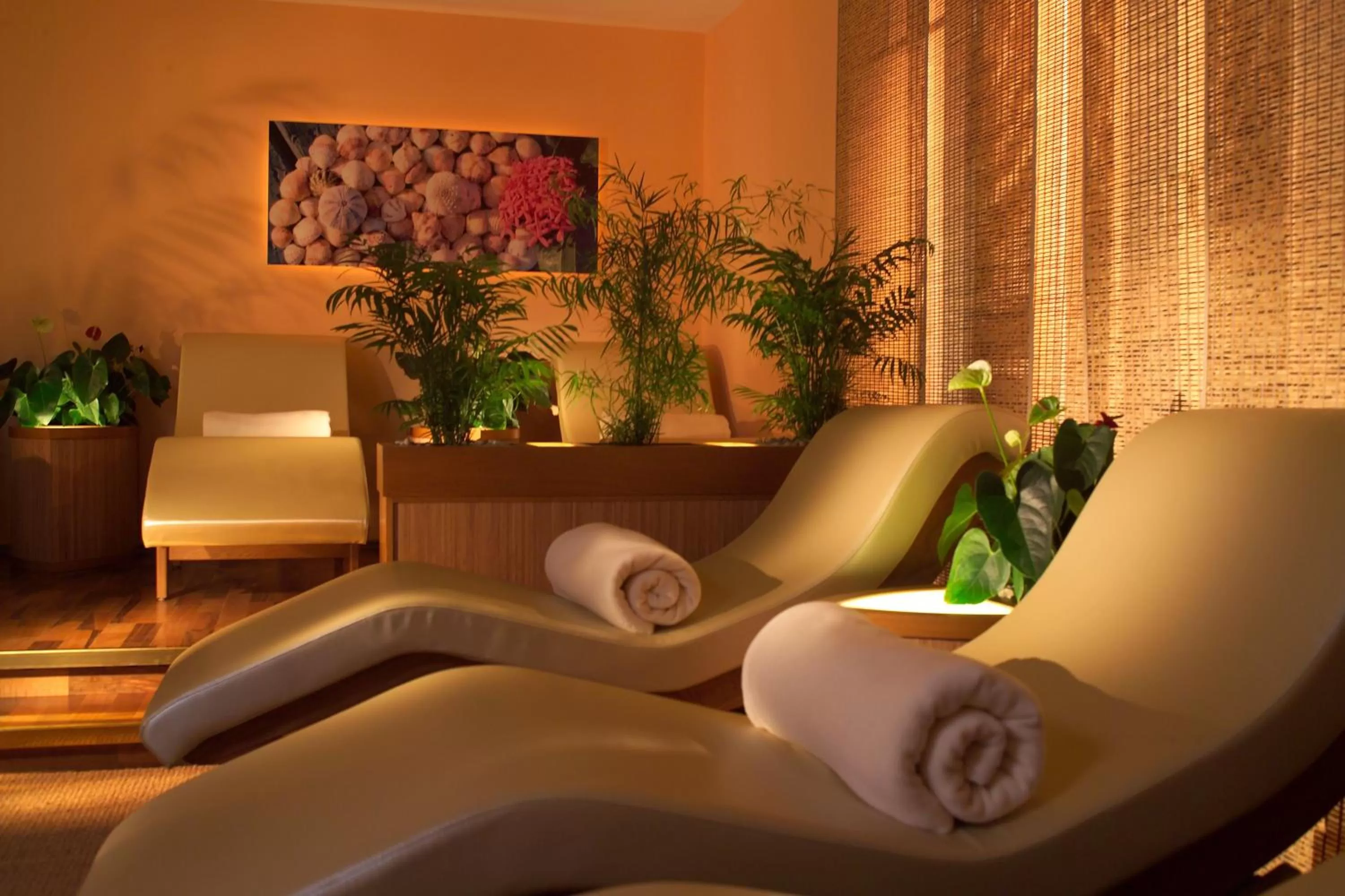 Spa and wellness centre/facilities in Hotel Meerlust