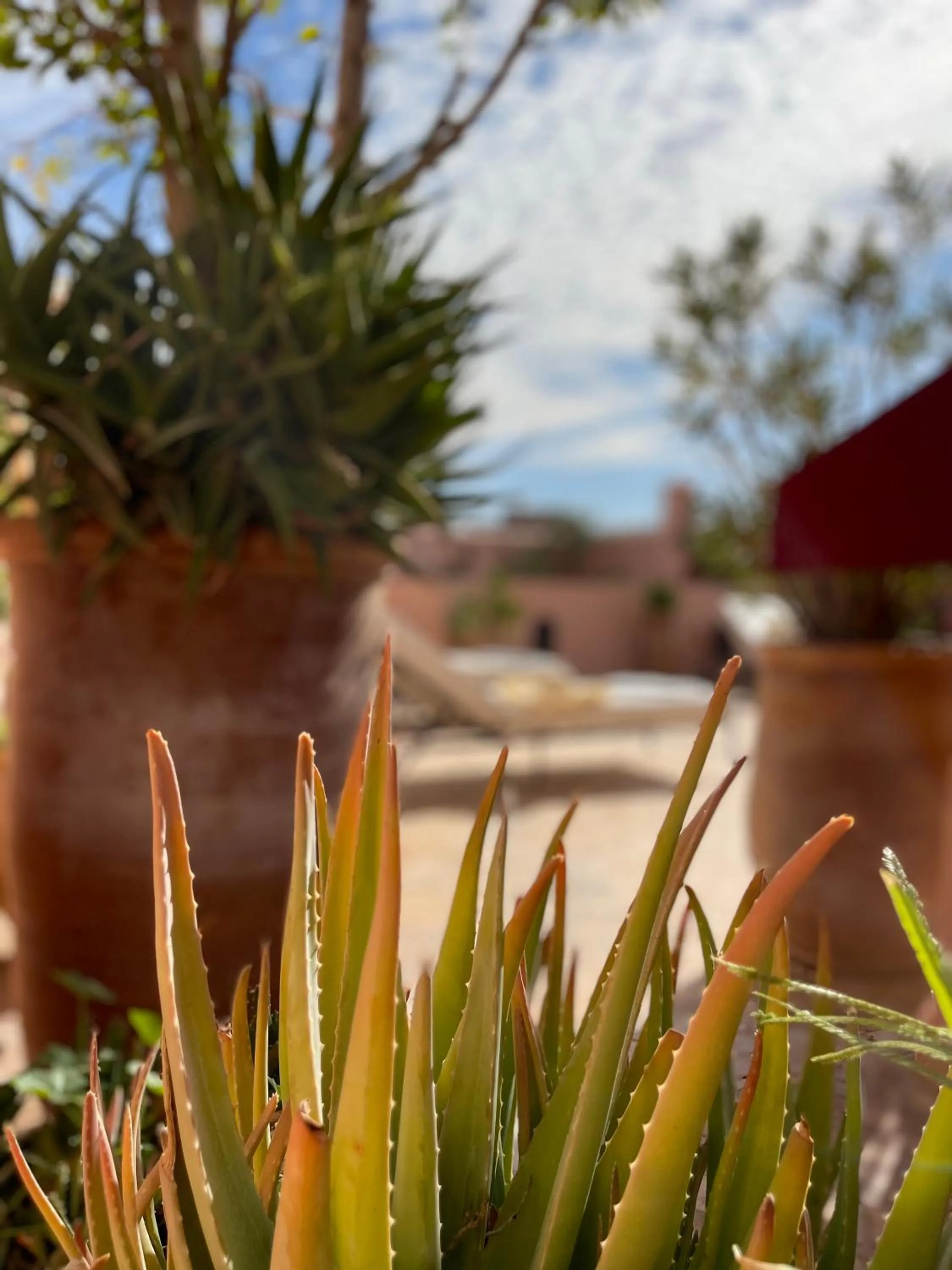 sunbed in Riad Dar Foundouk and Spa