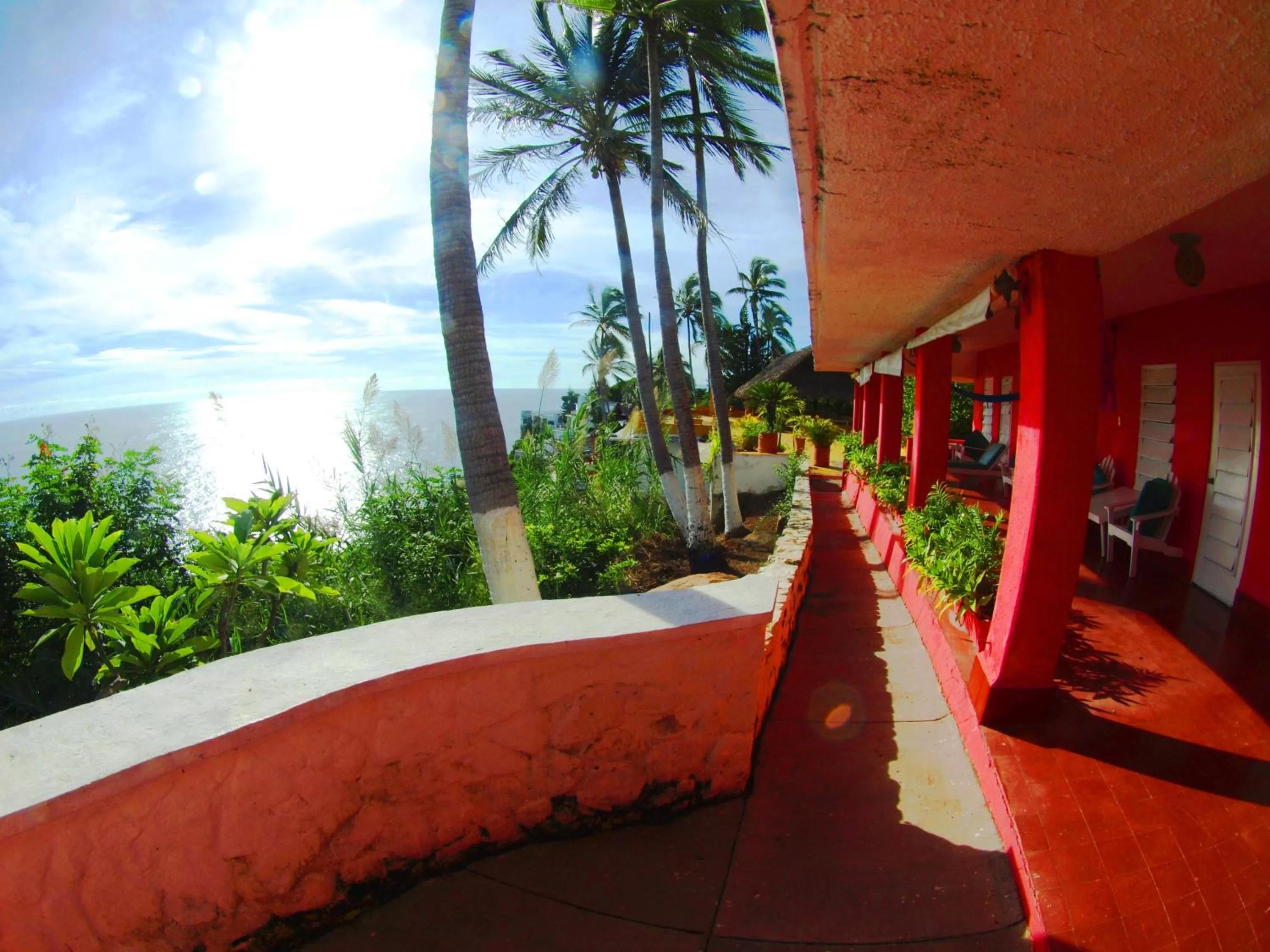 Balcony/Terrace in Hotel Flamingos