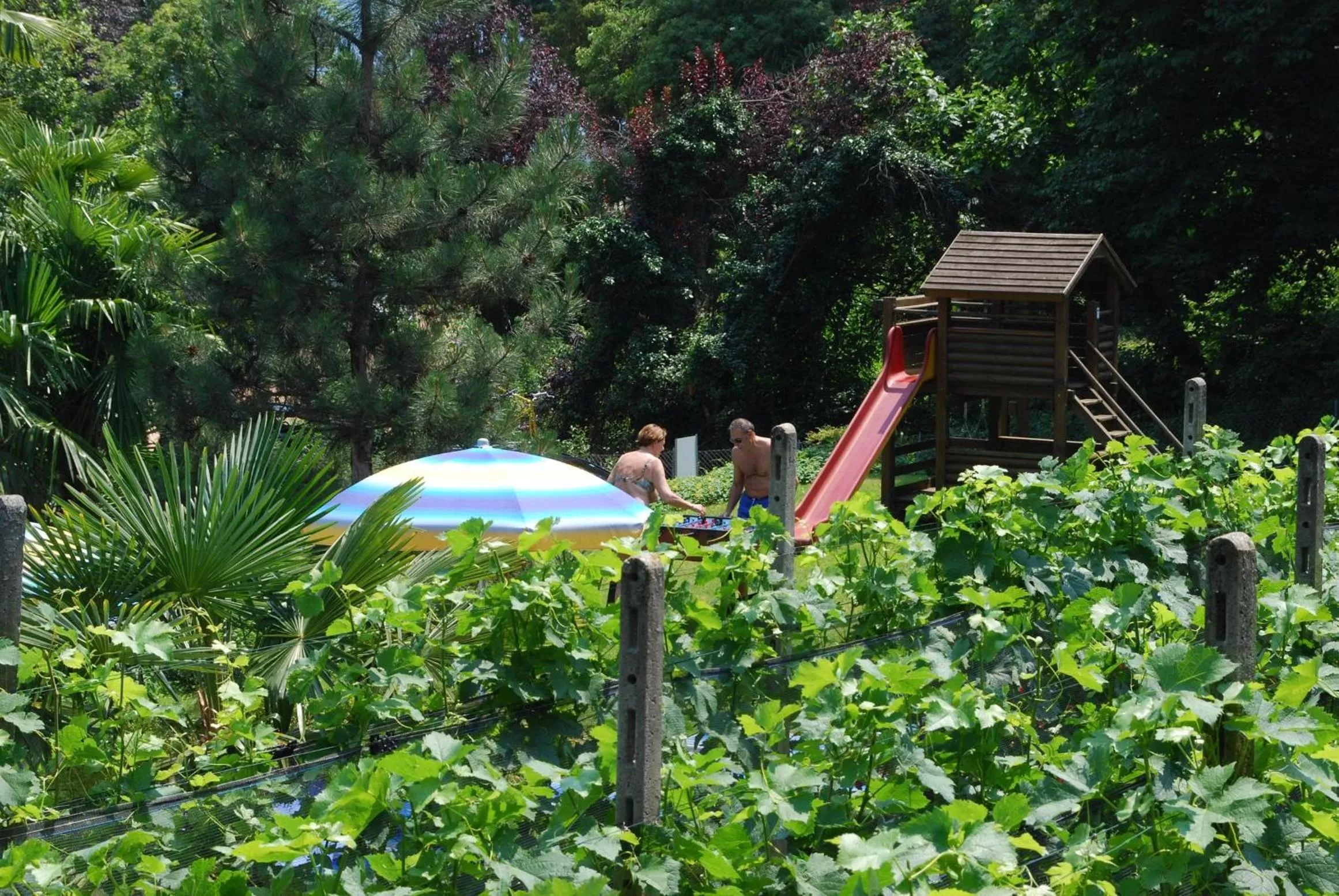 Day in Continental Parkhotel