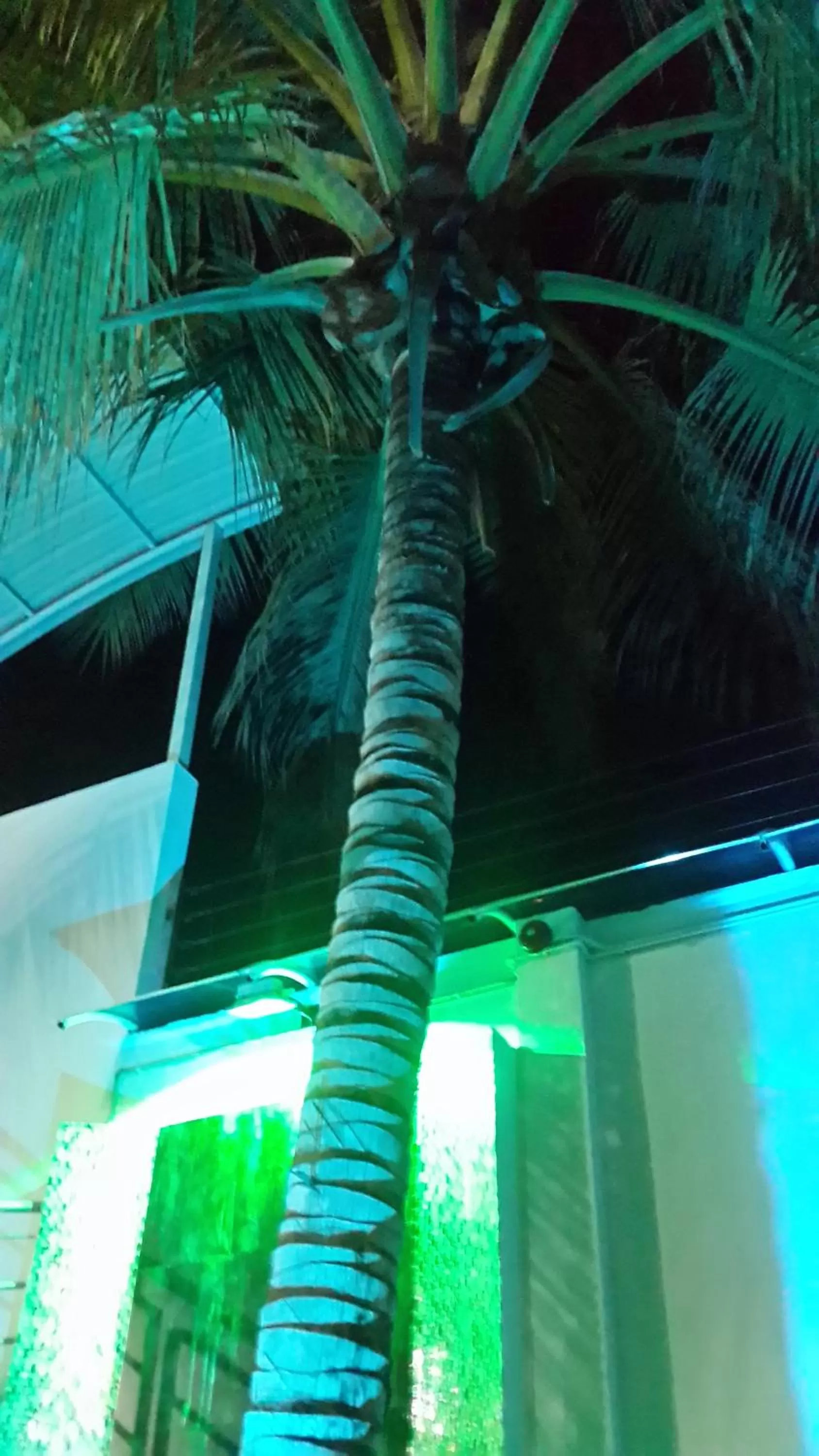 Tropical Resort Tocaima