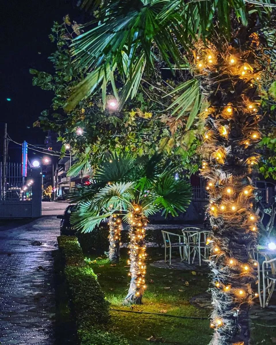 Garden in Hotel Ambasador