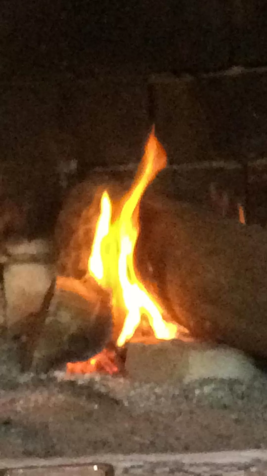 Area and facilities in La Ysidora Hotel & Spa