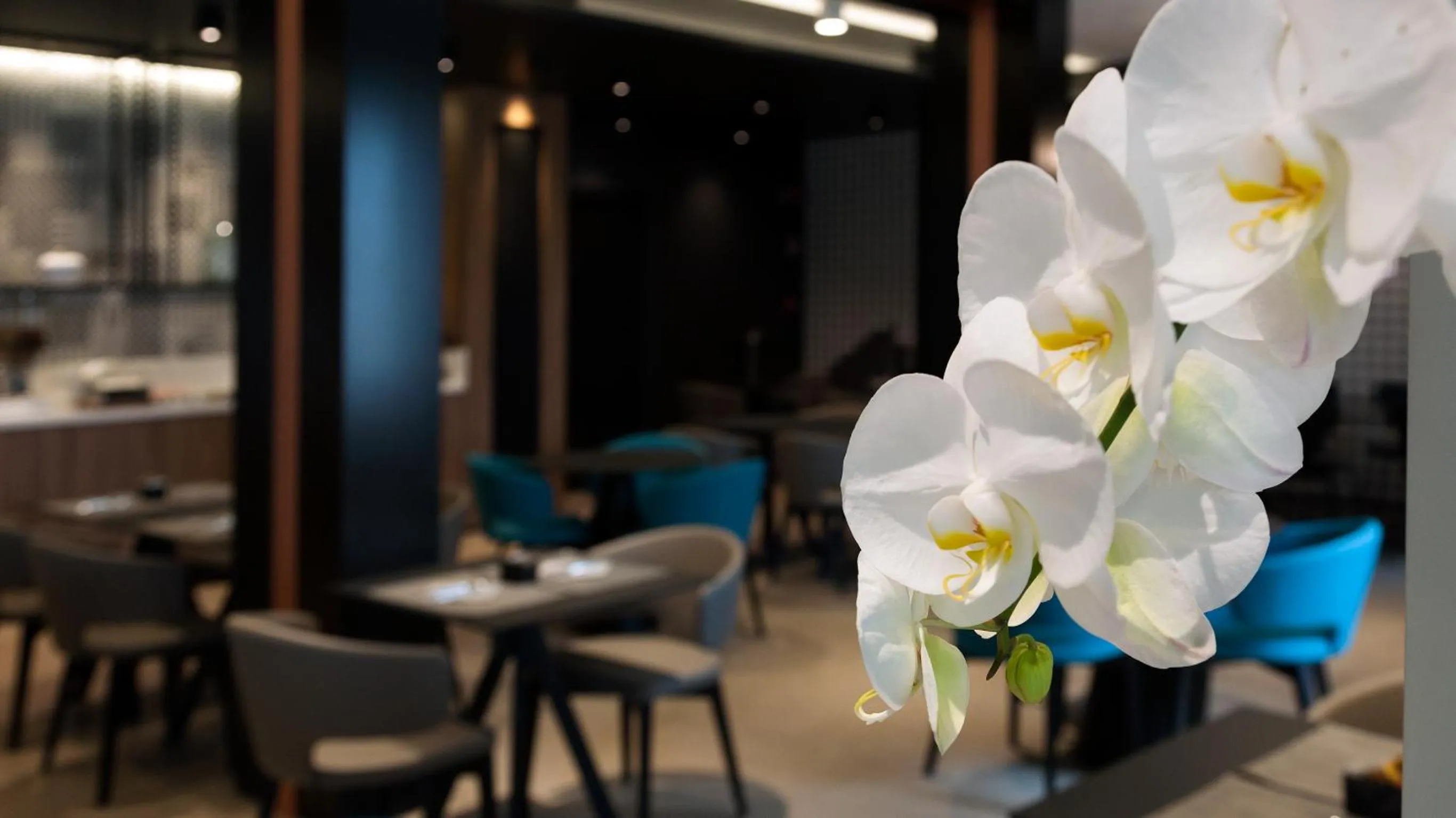 Lounge or bar in G Hotel Pescara