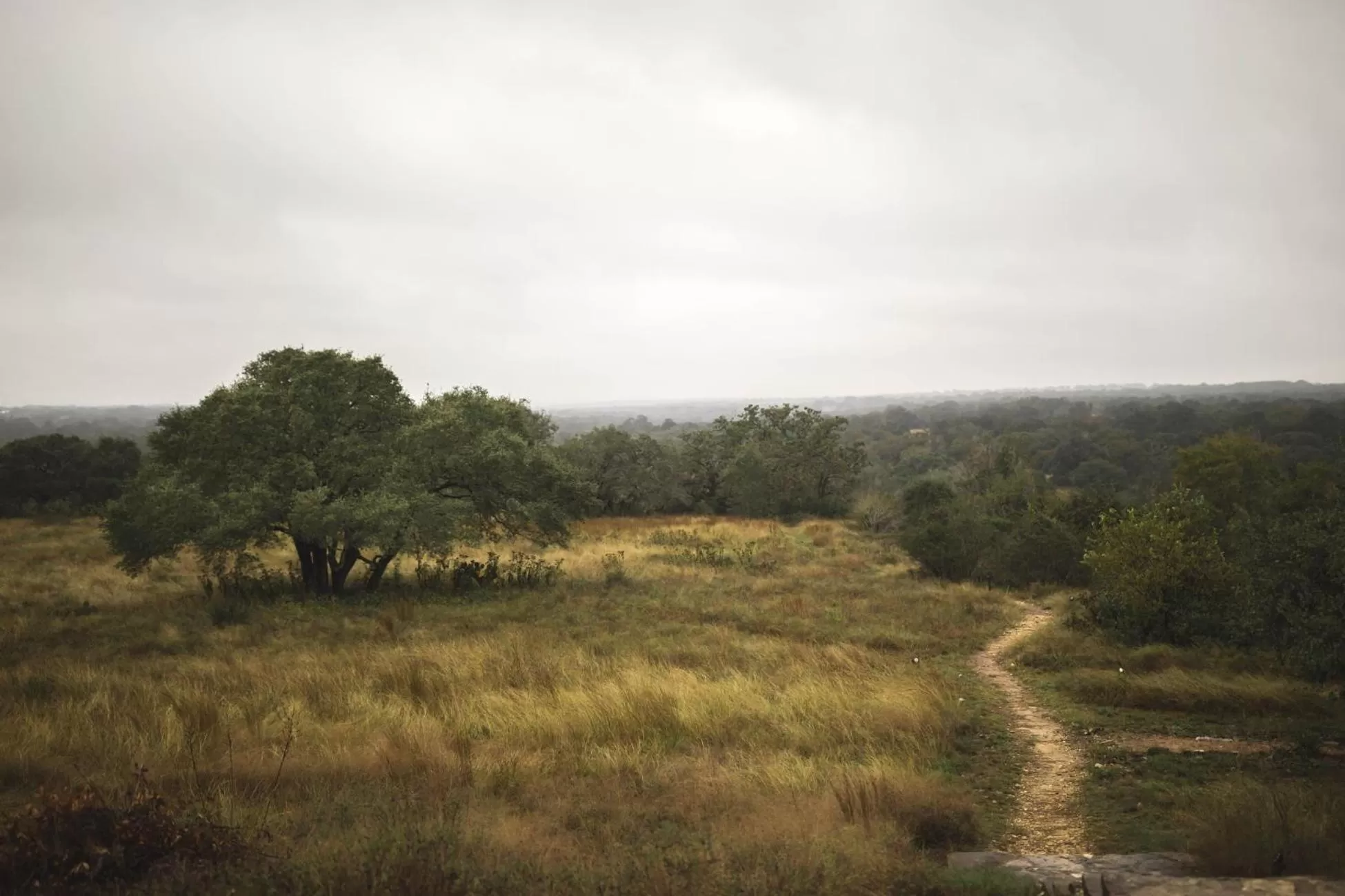 Natural landscape in Sage Hill Inn & Spa