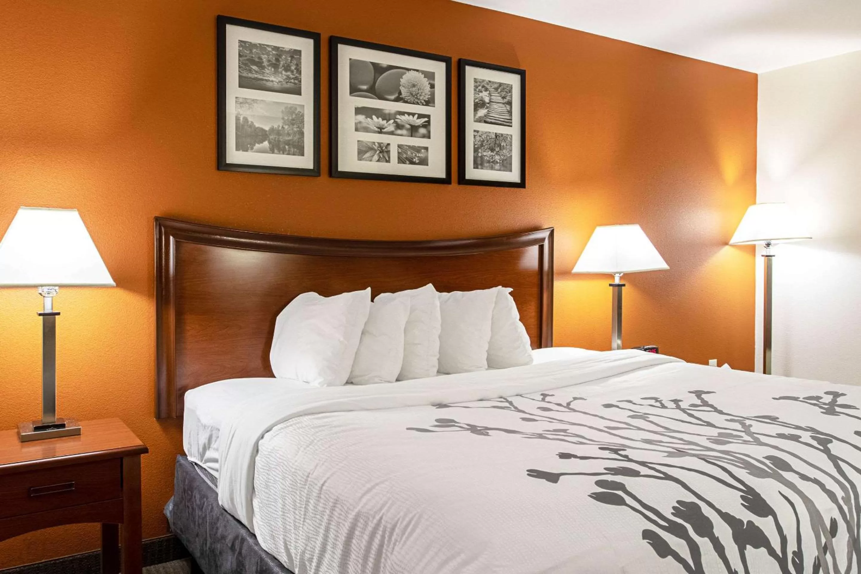 Photo of the whole room, Bed in Sleep Inn & Suites Hobbs