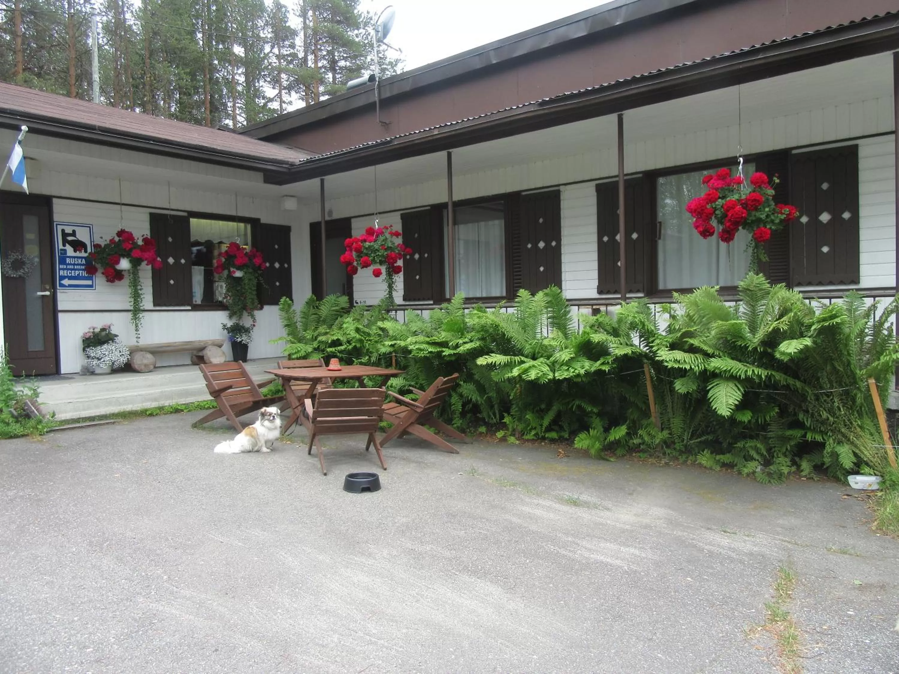 Ruska Bed & Breakfast