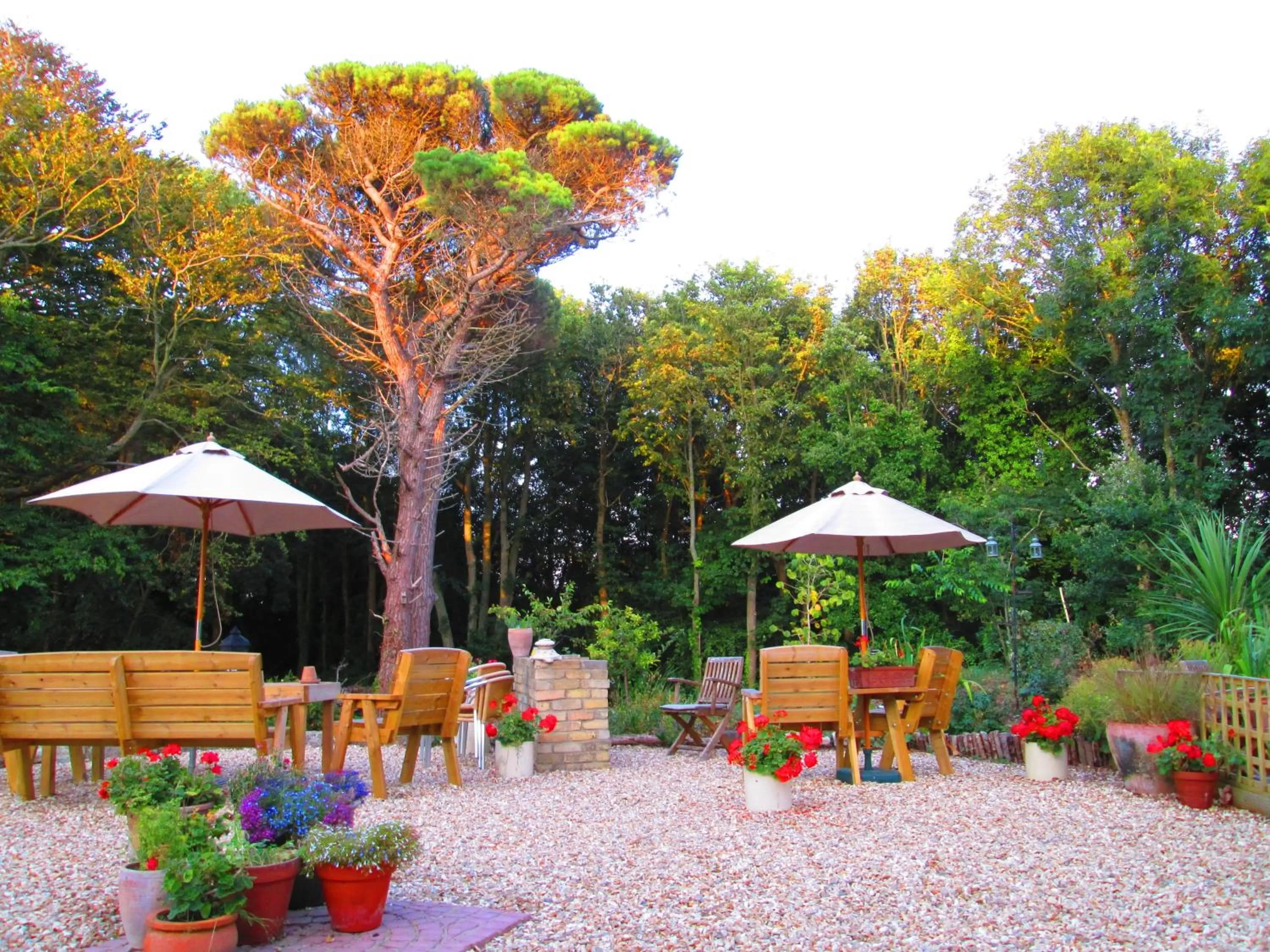 BBQ facilities in Weston Manor