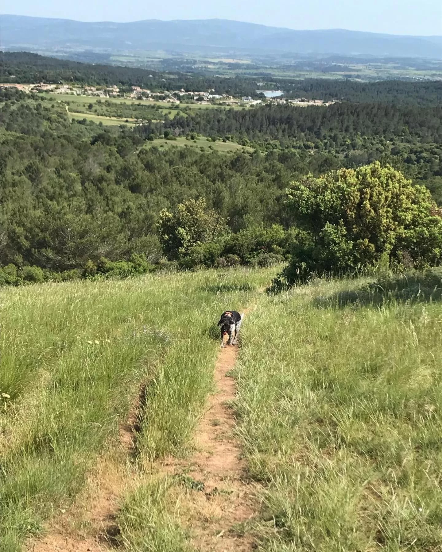 Hiking in La Rosela de la Cité
