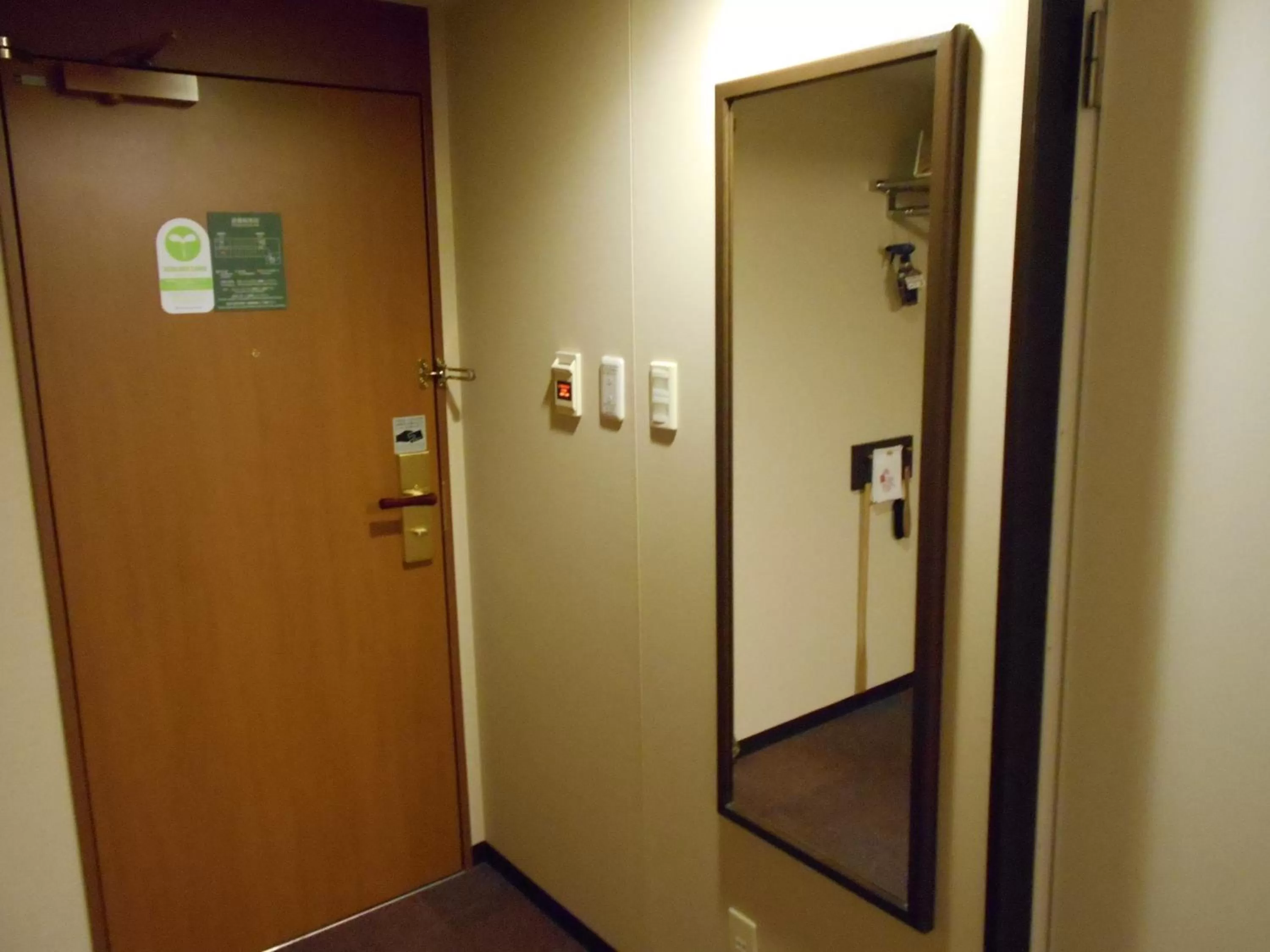 Deluxe Double Room - single occupancy - Non-Smoking in Daiwa Roynet Hotel Mito