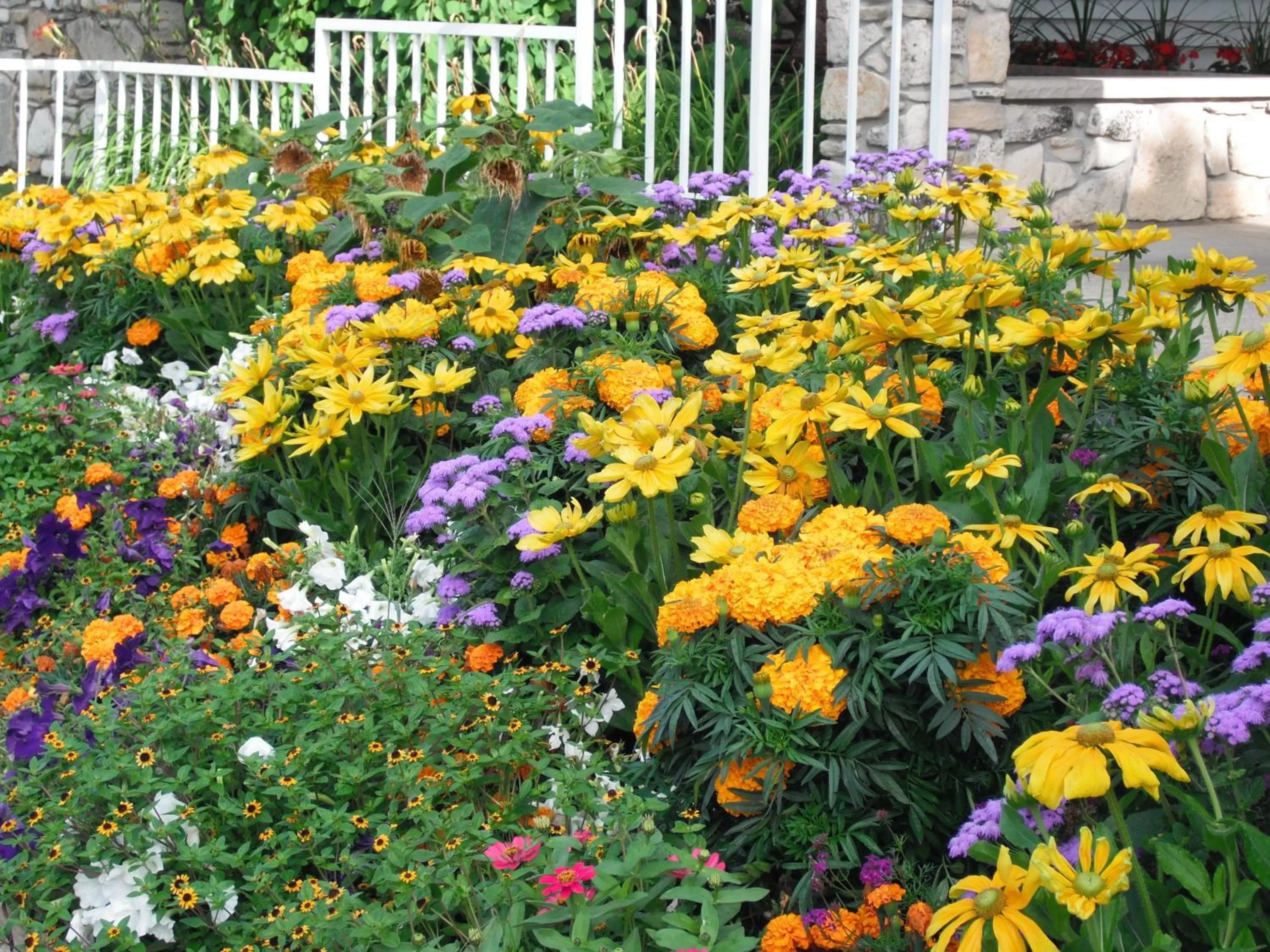 Garden in Homestead Suites - Fish Creek