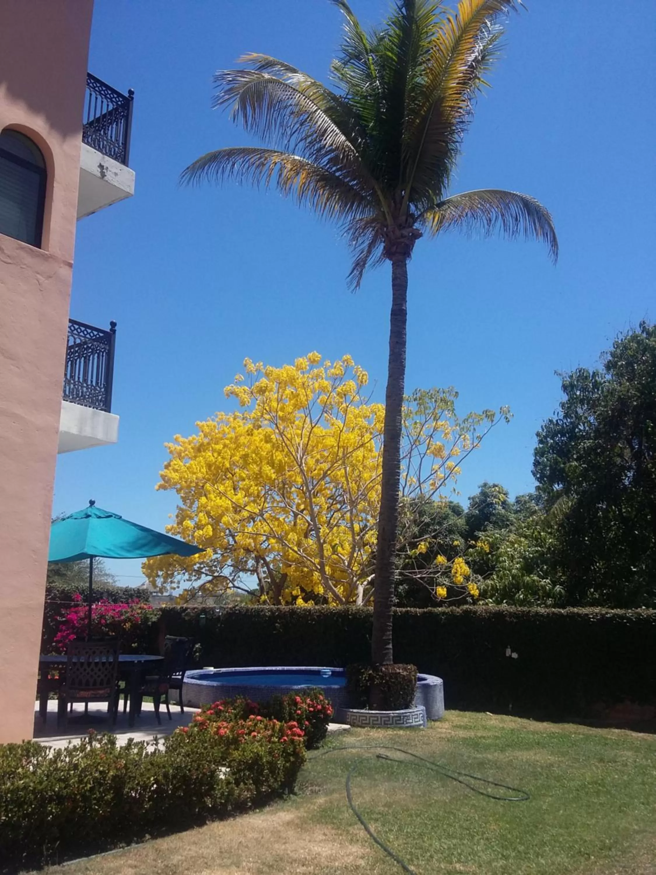 Garden view in Delfin