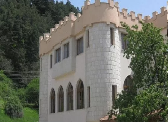 Facade/entrance, Property Building in The Castle Hotel