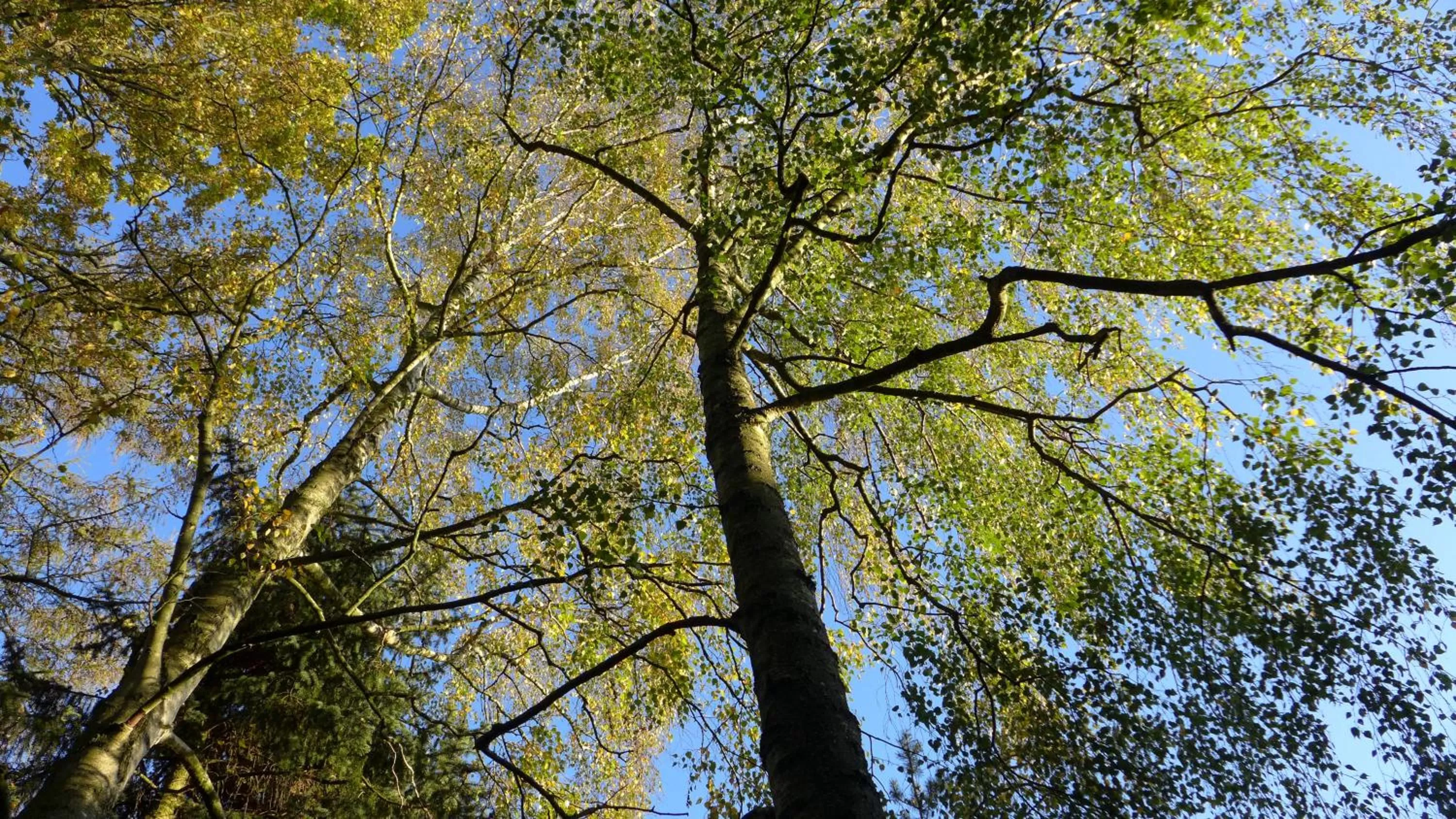 Natural landscape in Hotel Heidpark