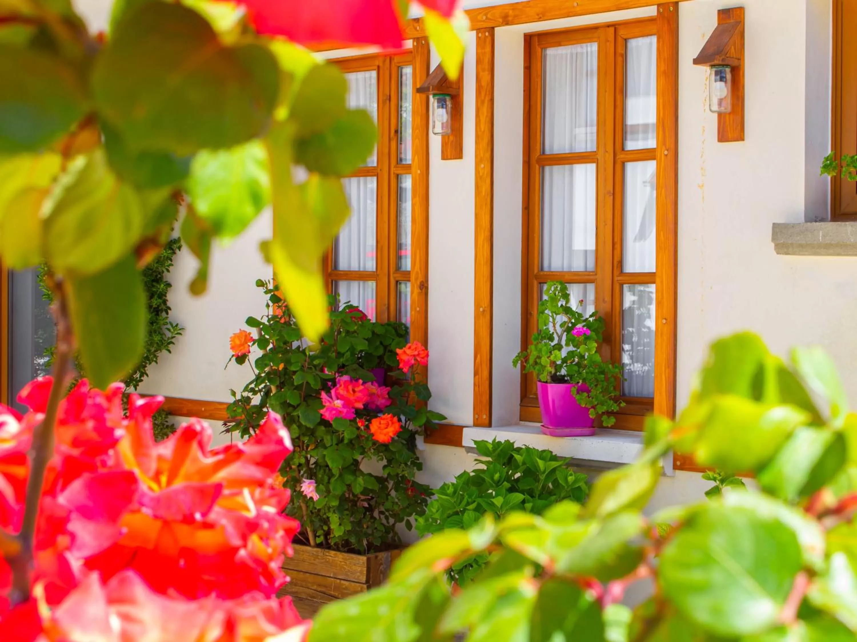 Hotel Bebej Tradicional